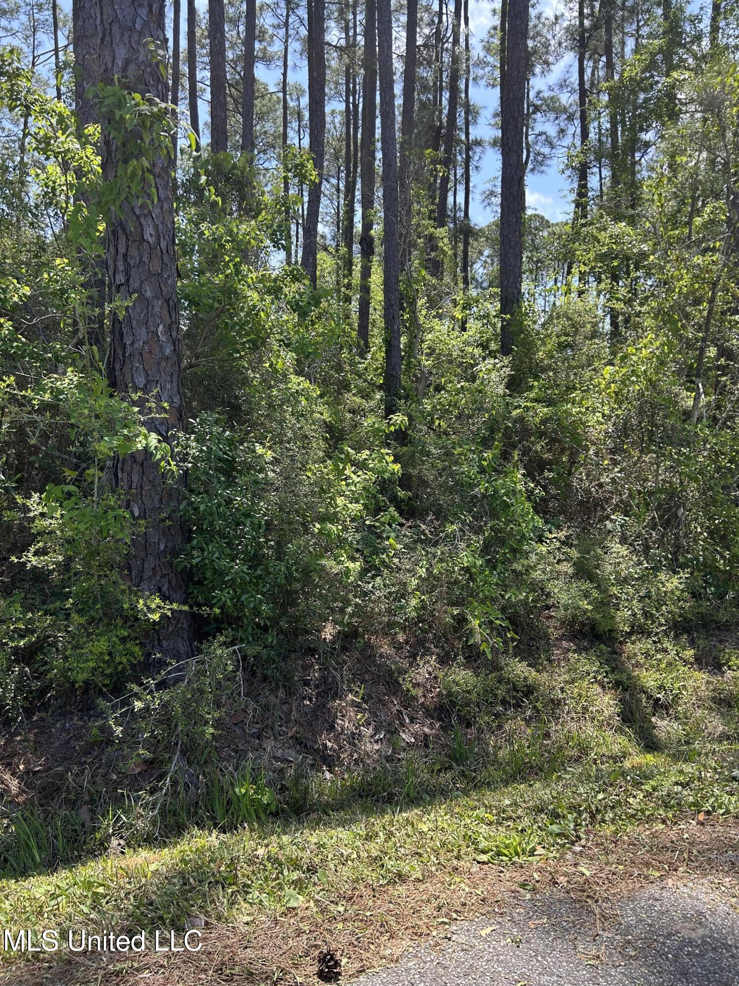 Parkview Lane, Pass Christian, Mississippi image 4