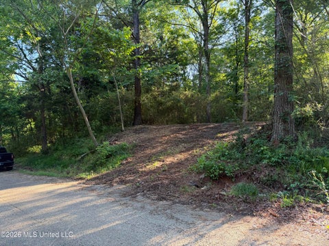 Vacant Land For Sale - 226 Ferrell Road<br/> Benton County, Ashland, MS 38603