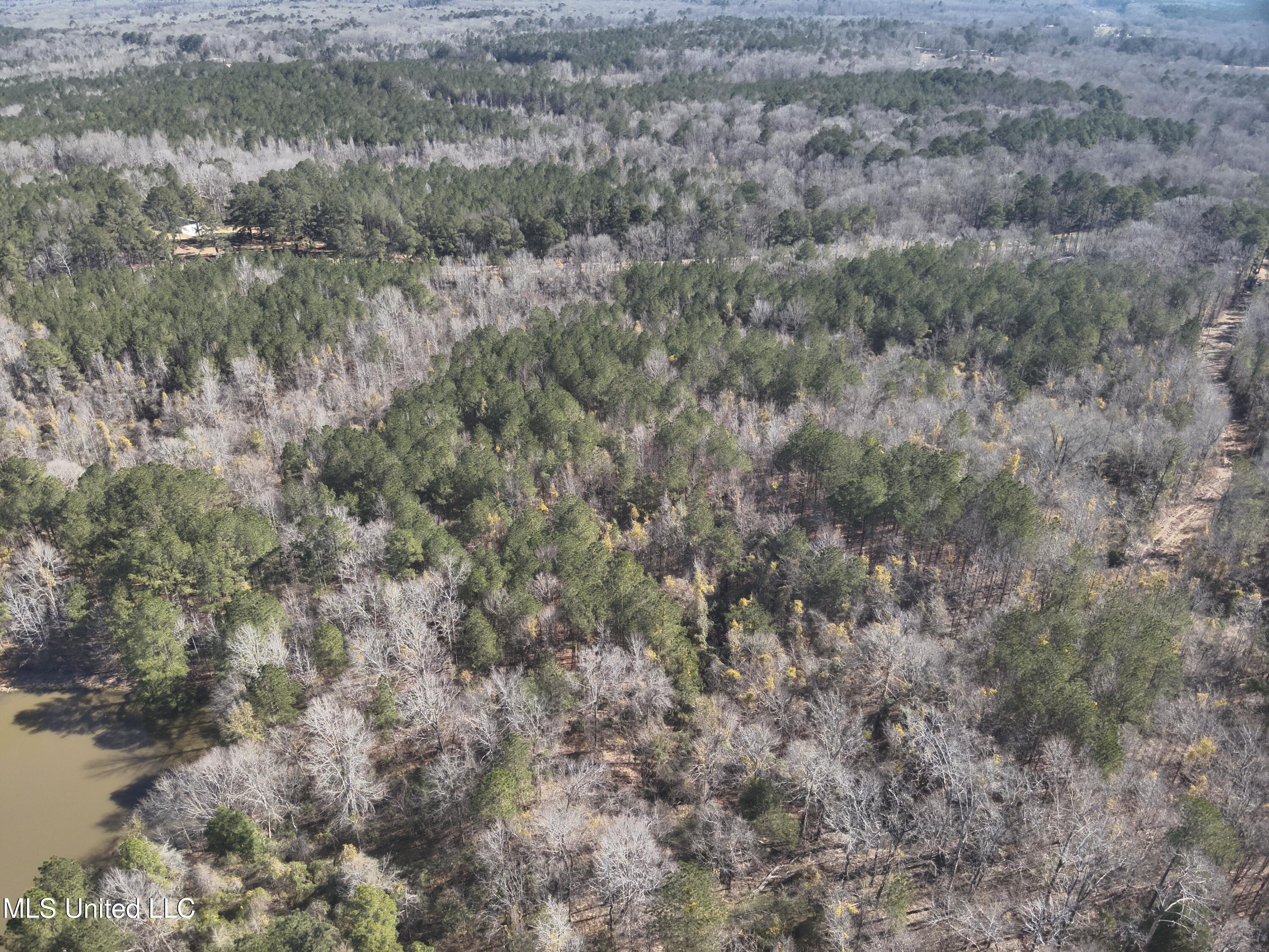 00 Ms-27, Crystal Springs, Mississippi image 7