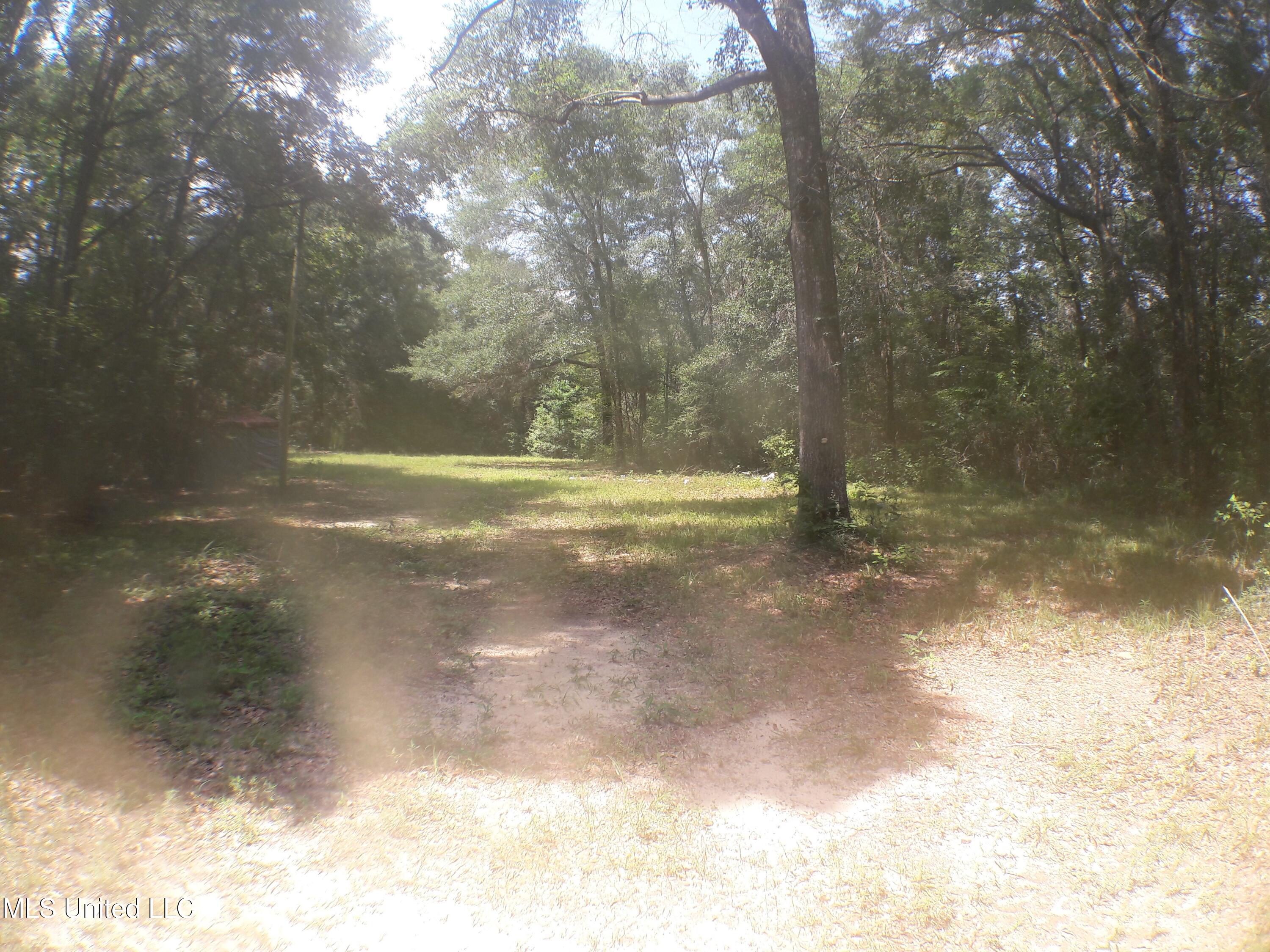 21902 Old River Road, Vancleave, Mississippi image 2