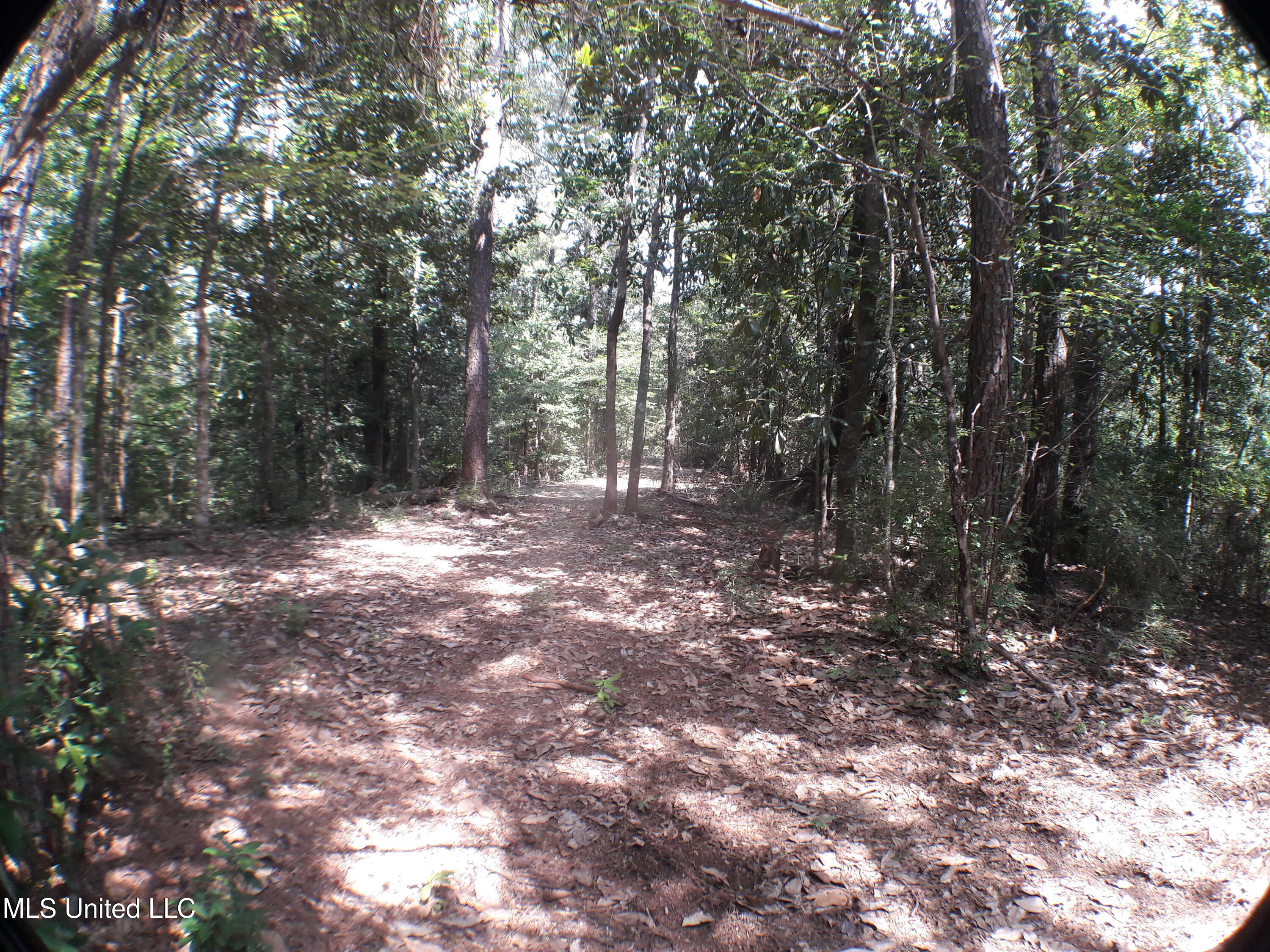 21902 Old River Road, Vancleave, Mississippi image 4