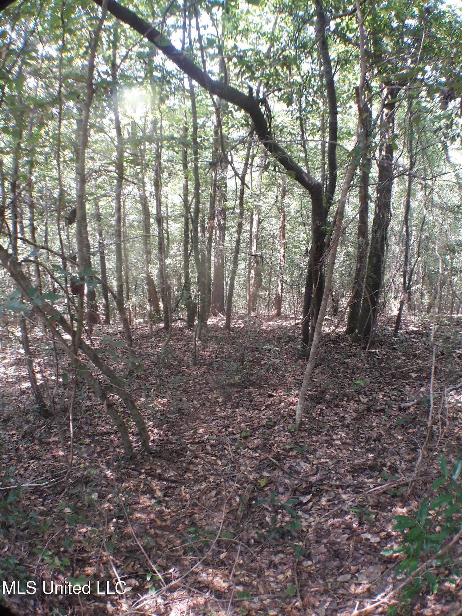 21902 Old River Road, Vancleave, Mississippi image 7