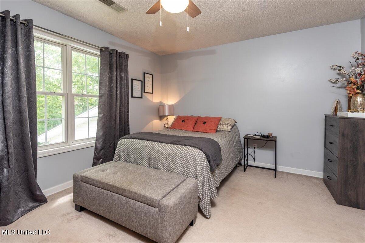 12821 Whispering Pines Drive, Olive Branch, Mississippi image 43