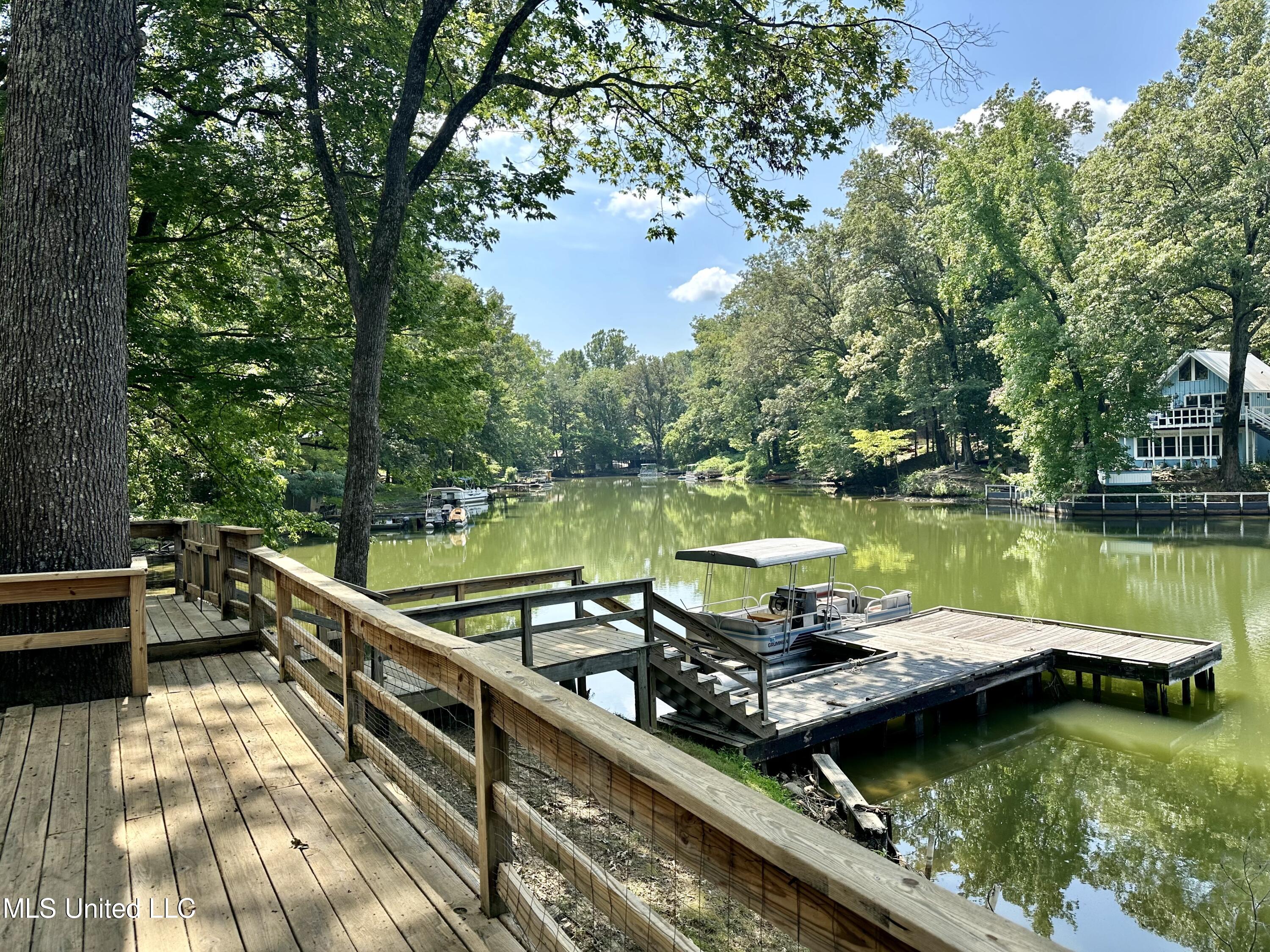 10935 Loch Venarcher Cove, Hernando, Mississippi image 18