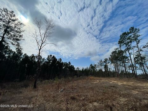 Vacant Land For Sale - 371 SW Low Water Lane<br/> Brookhaven, MS 39601