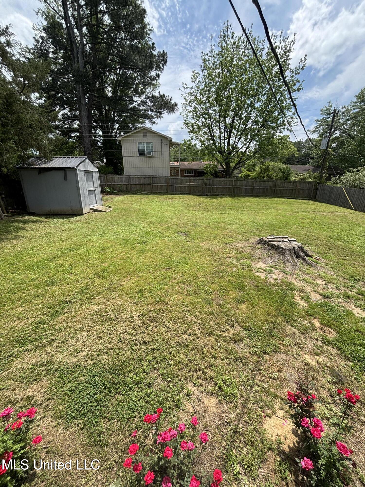 659 Coleman Avenue, Holly Springs, Mississippi image 7