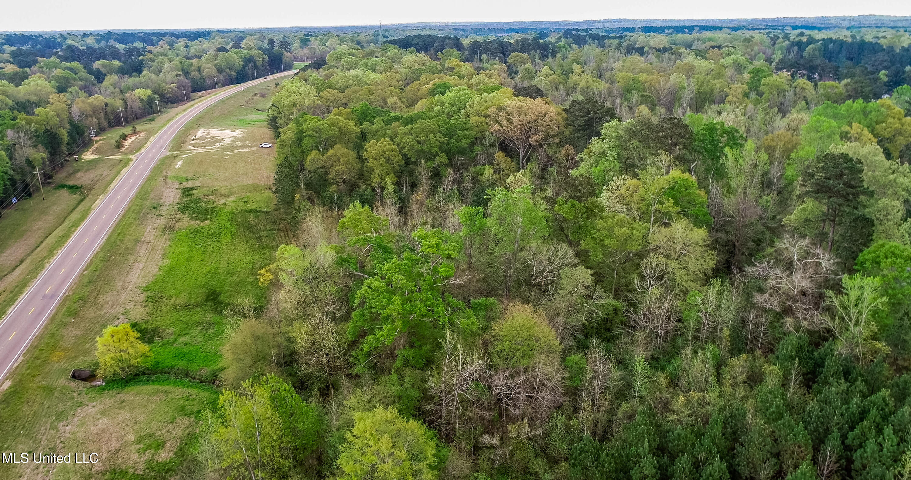 Hwy 18, Brandon, Mississippi image 3