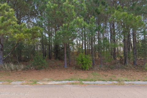 Vacant Land For Sale - 128 Lakewood Drive<br/> Hancock County, Waveland, MS 39576