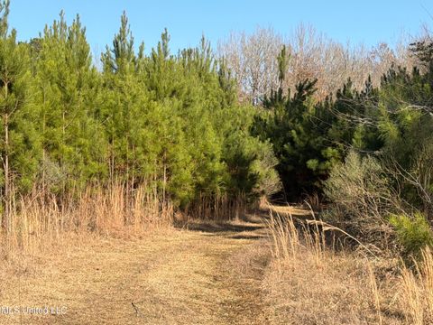 Vacant Land For Sale - Delancey Road<br/> Braxton, MS 39044