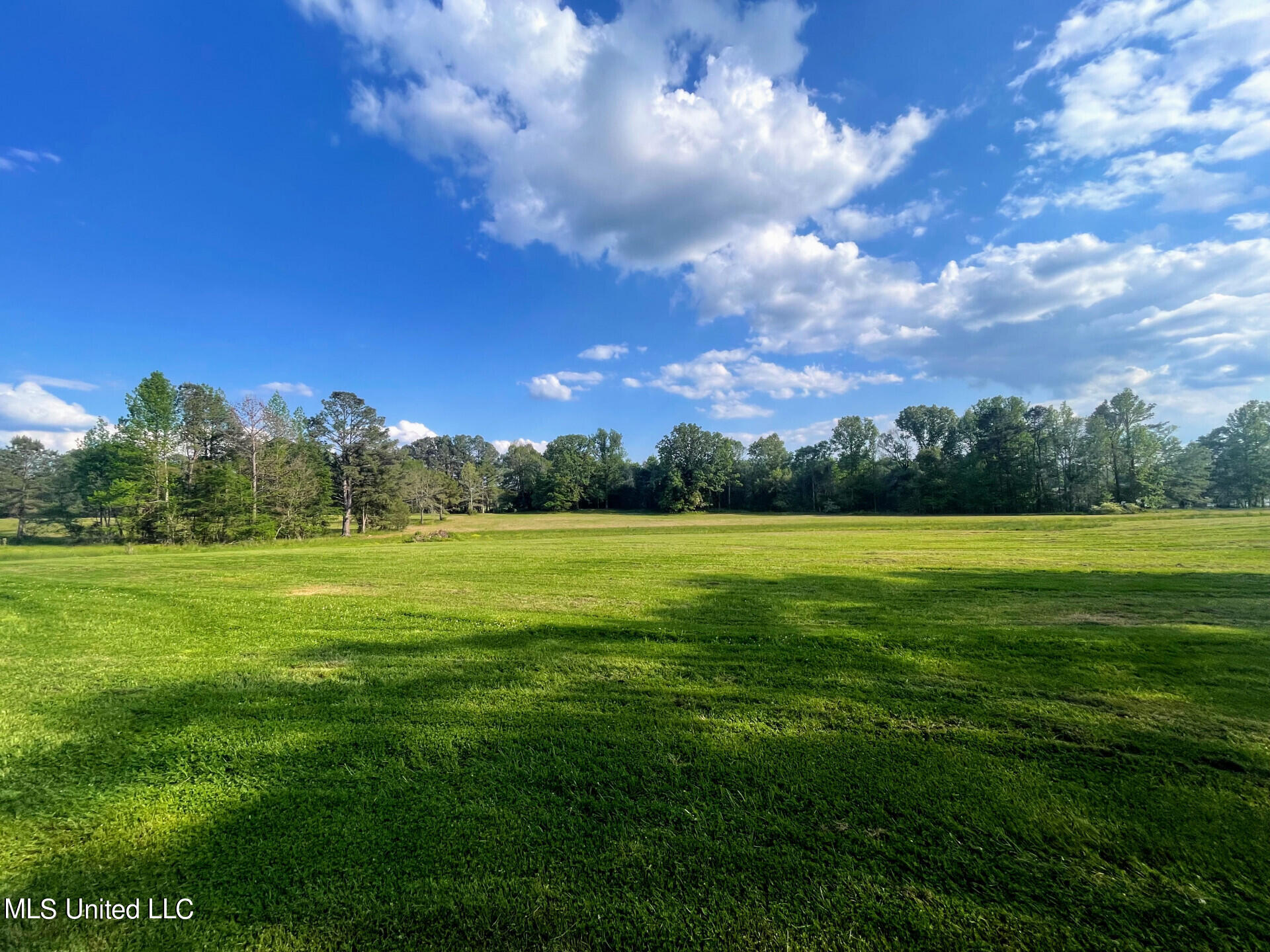 Pinehaven Drive, Jackson, Mississippi image 5