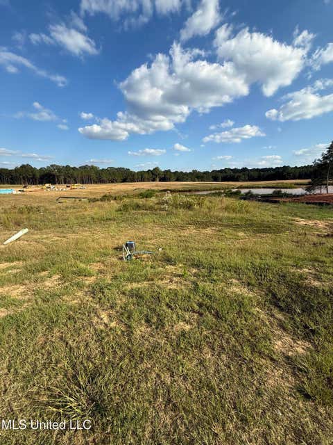 Vacant Land For Sale - Big Valley Loop<br/> Rankin County, Flowood, MS 39232