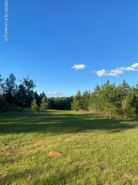 Vacant Land For Sale - TBD County Road 48<br/> Amite County, Gloster, MS 39638