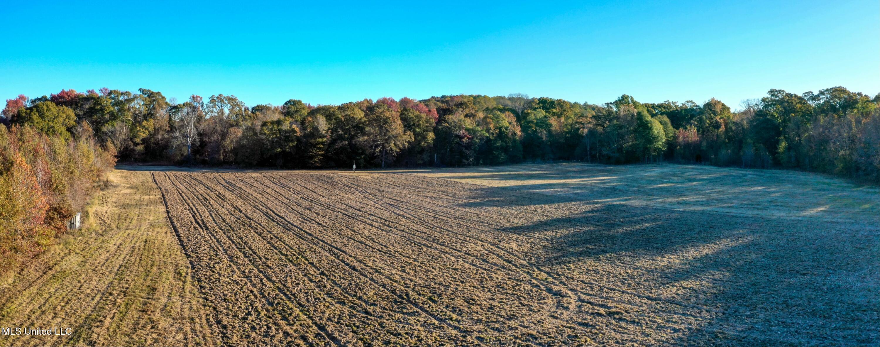 Co Rd 180, Greenwood, Mississippi image 13