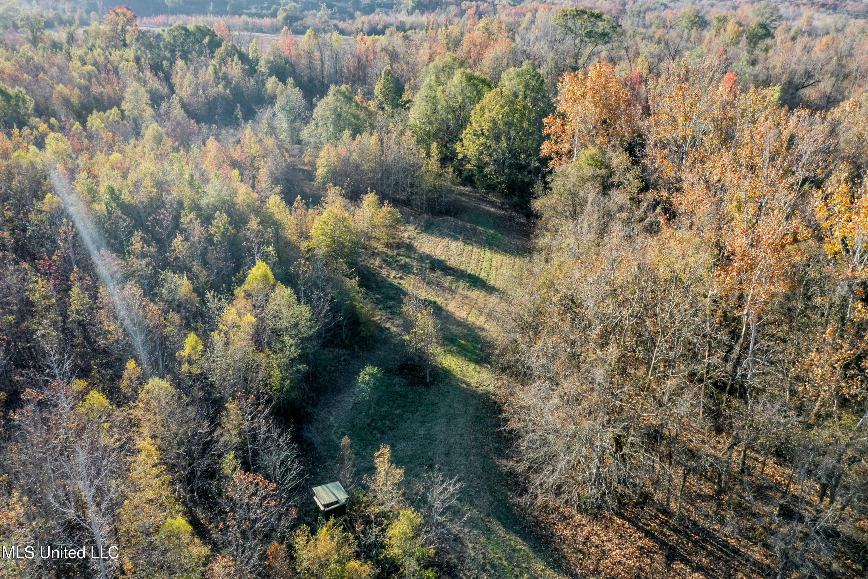 Co Rd 180, Greenwood, Mississippi image 20