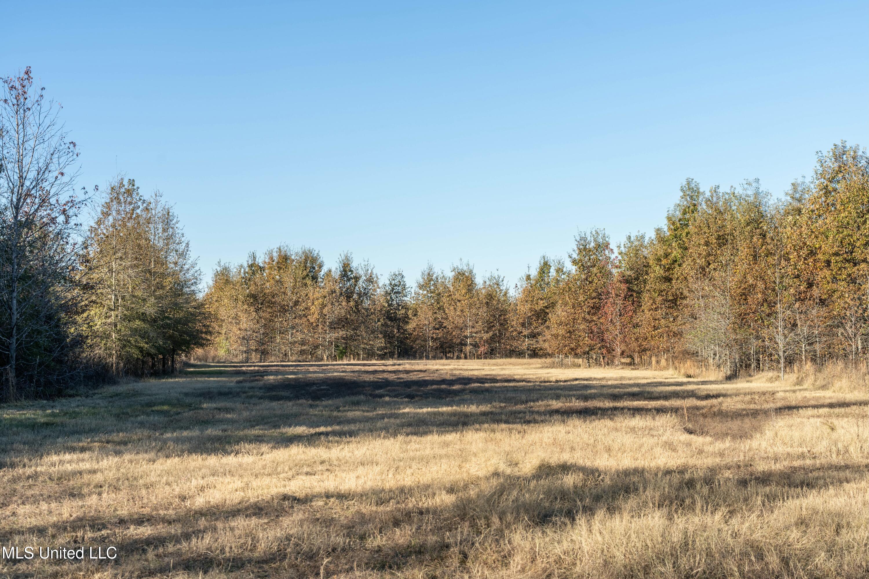 Co Rd 180, Greenwood, Mississippi image 5