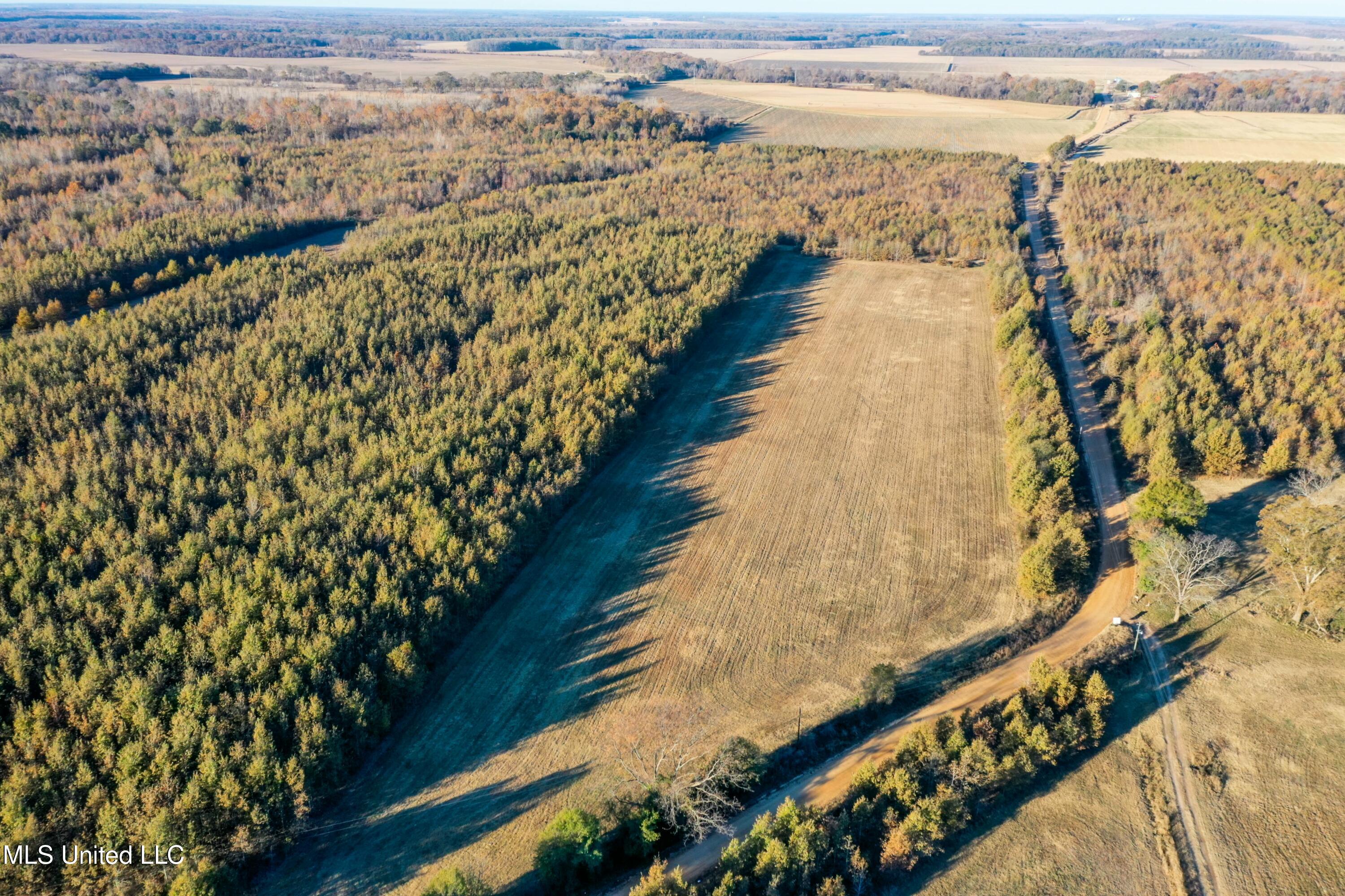 Co Rd 180, Greenwood, Mississippi image 15