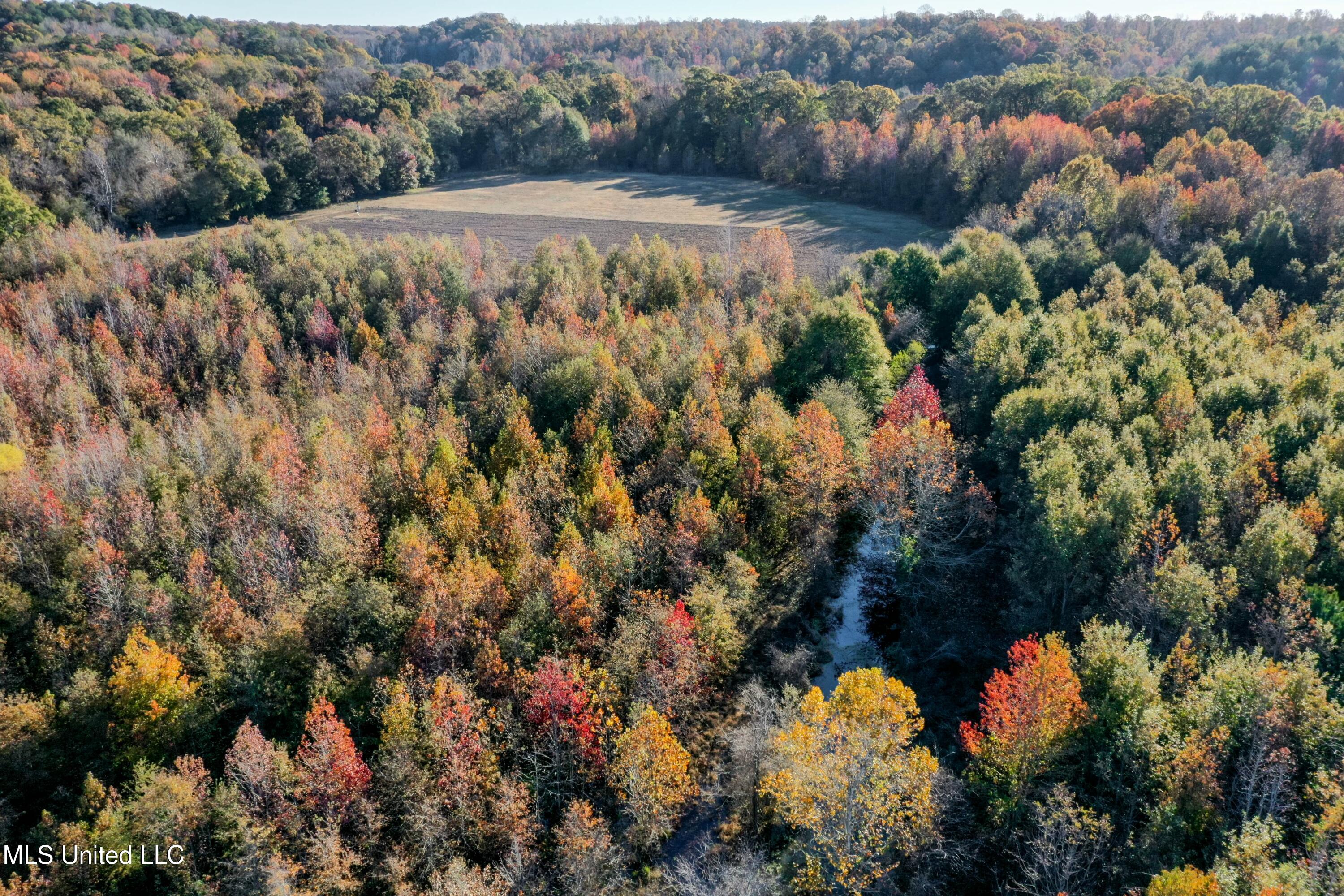 Co Rd 180, Greenwood, Mississippi image 27