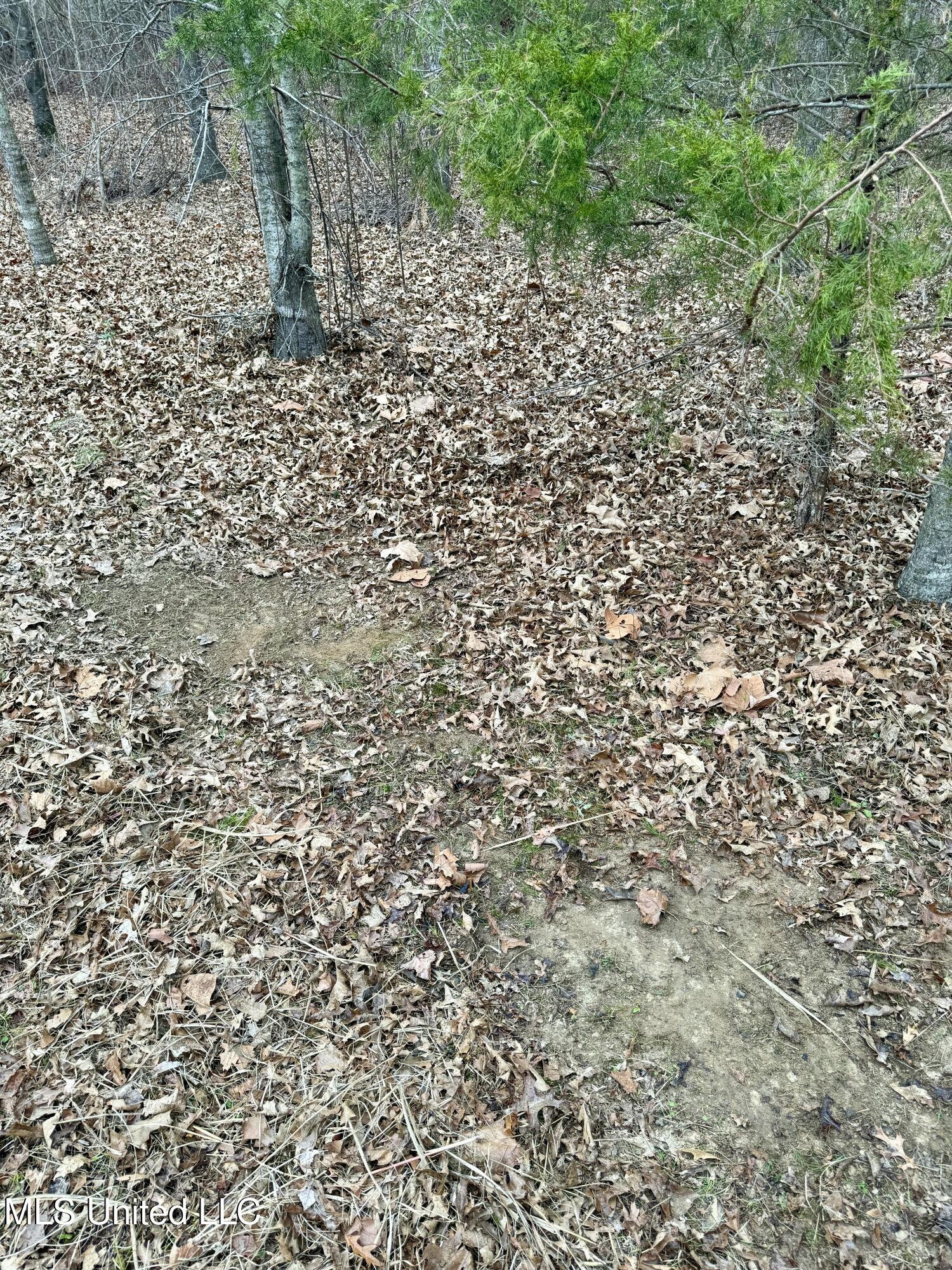 Co Rd 180, Greenwood, Mississippi image 48