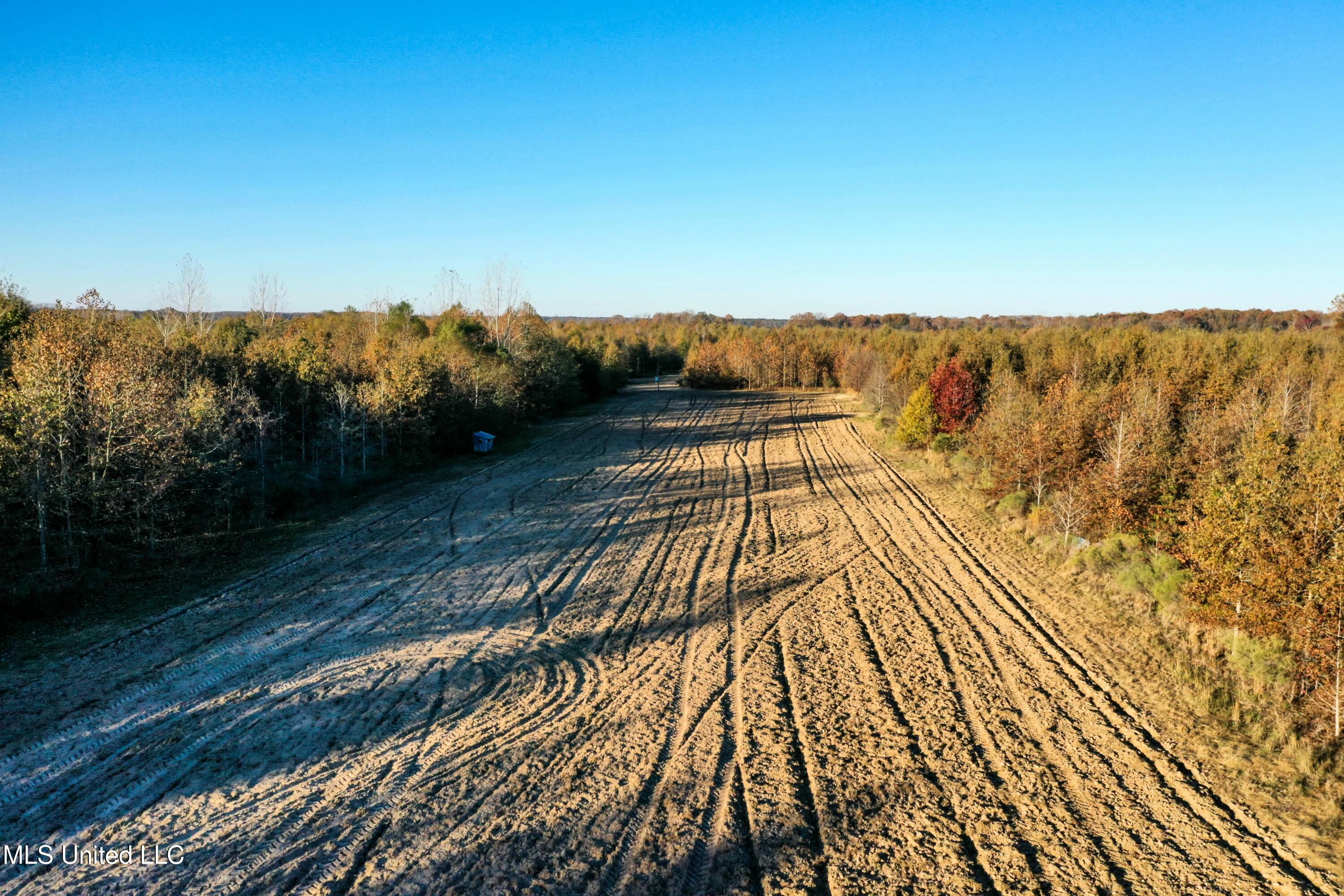 Co Rd 180, Greenwood, Mississippi image 9