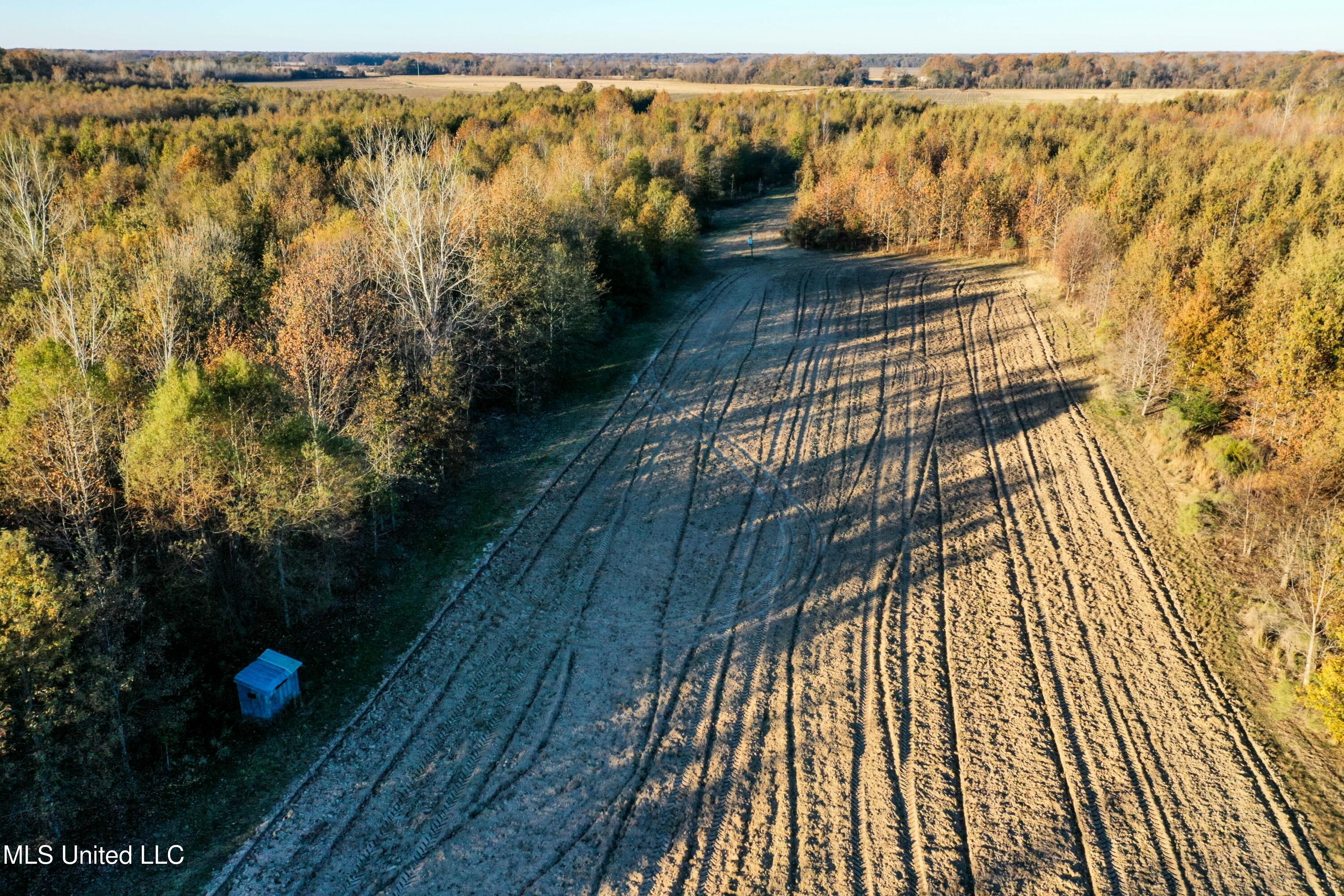 Co Rd 180, Greenwood, Mississippi image 8