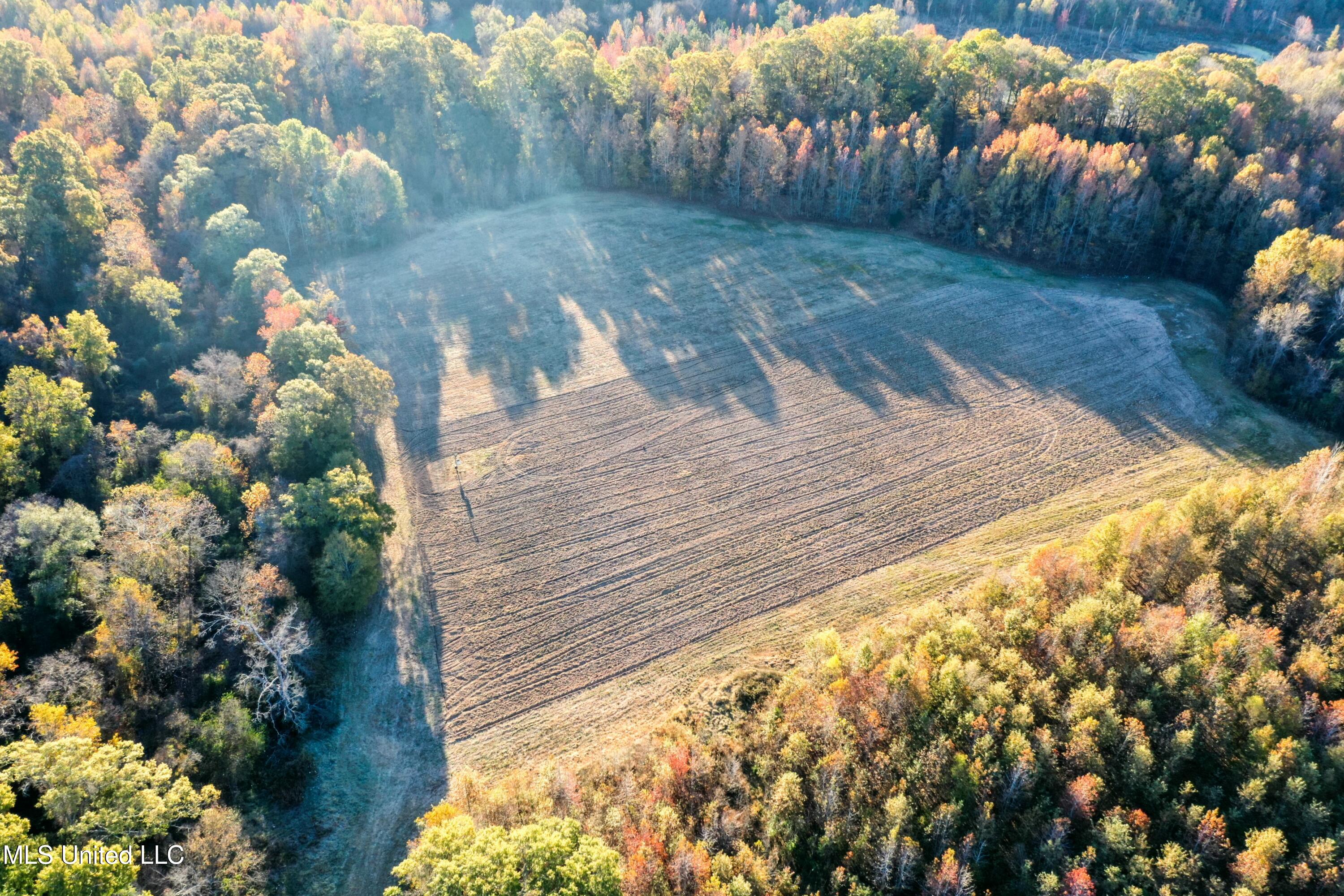 Co Rd 180, Greenwood, Mississippi image 12