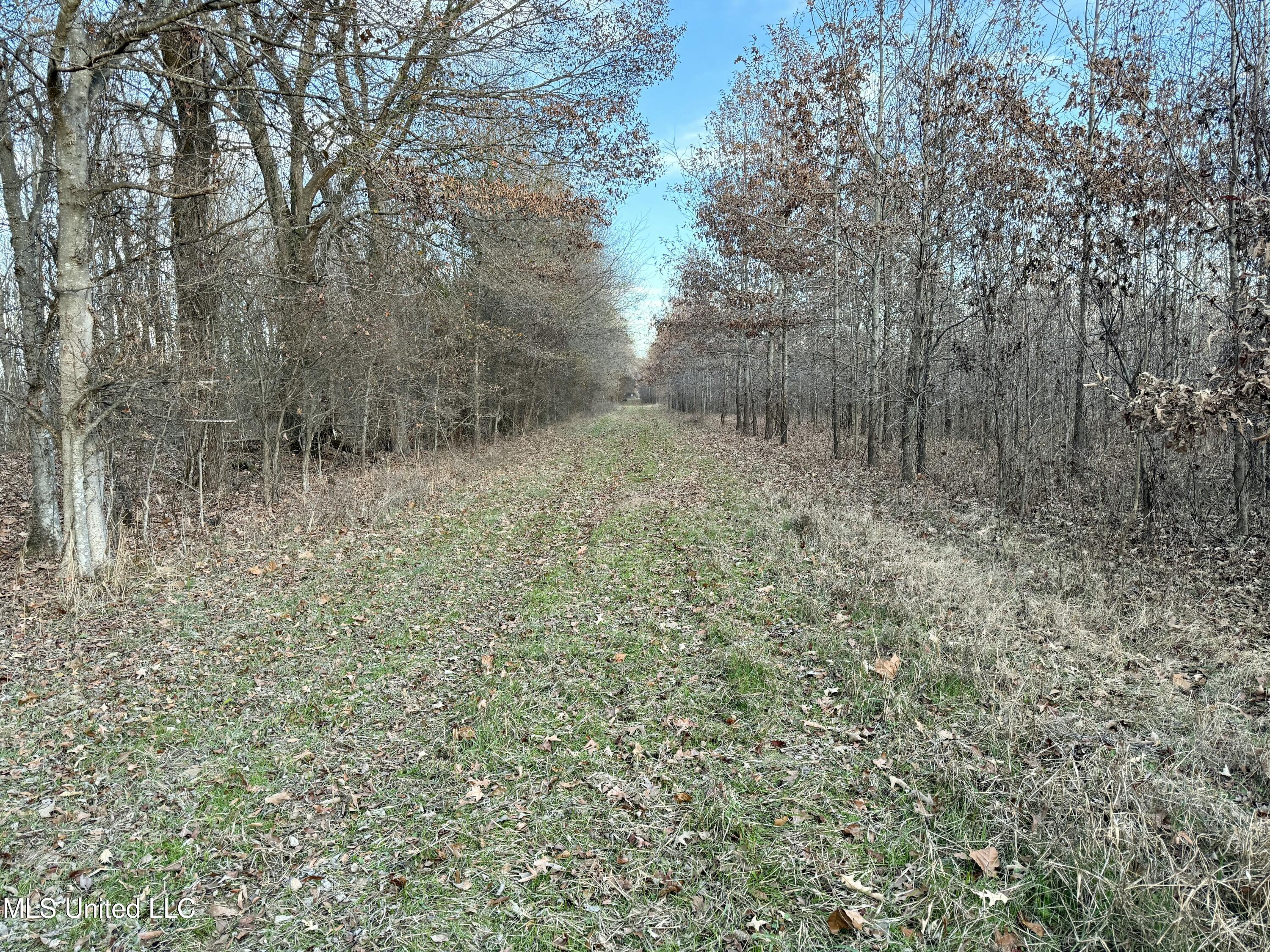 Co Rd 180, Greenwood, Mississippi image 44