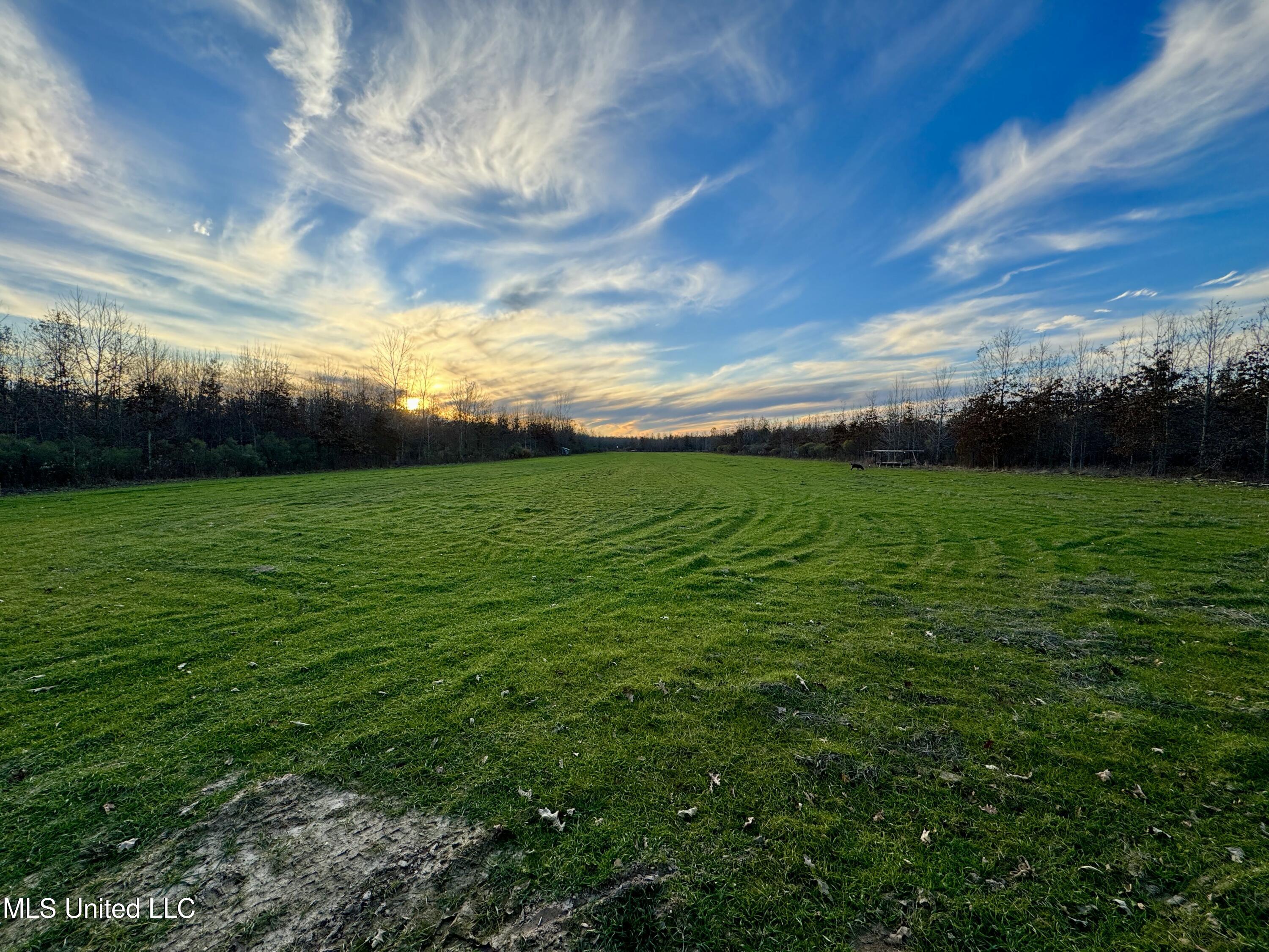 Co Rd 180, Greenwood, Mississippi image 46