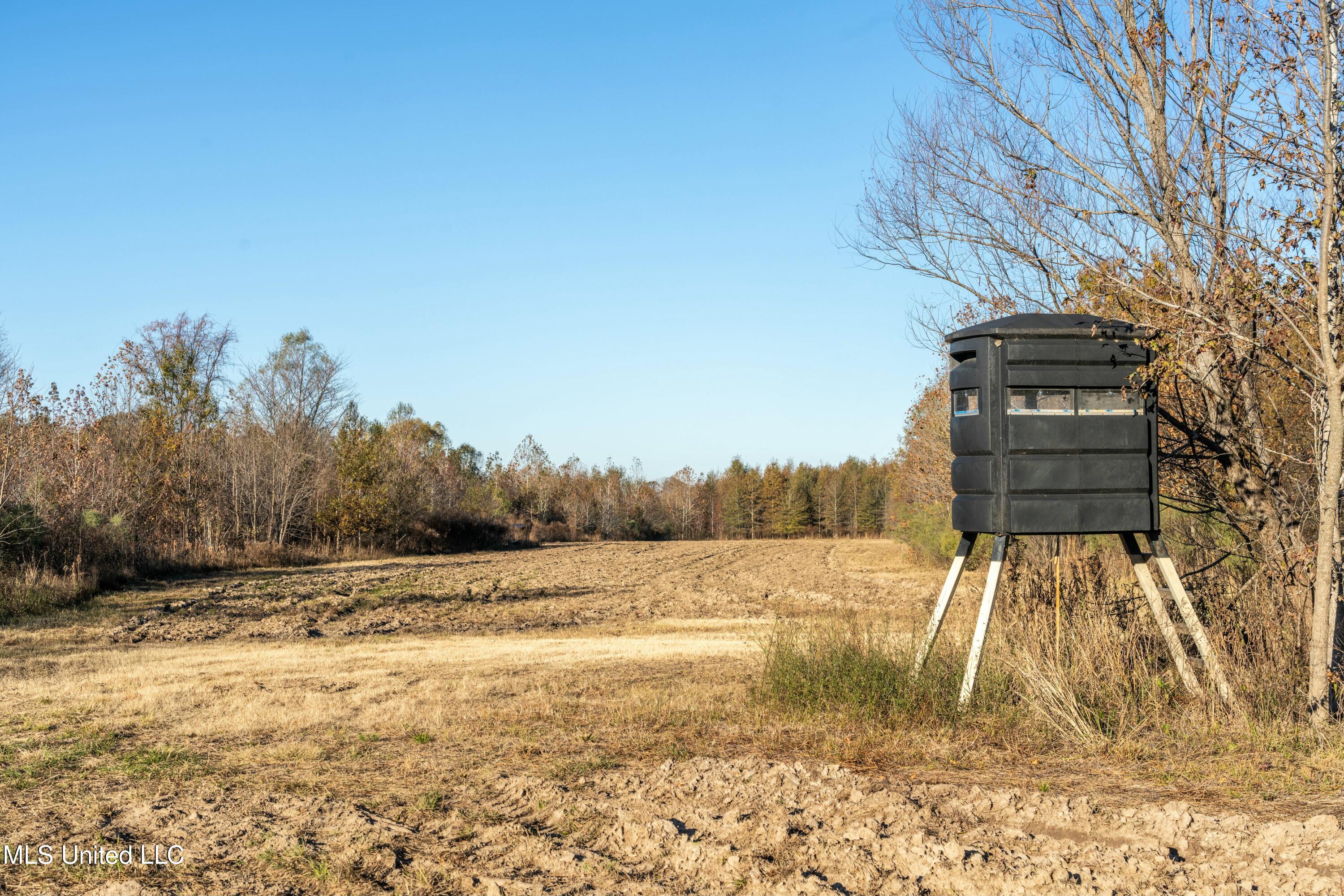 Co Rd 180, Greenwood, Mississippi image 3