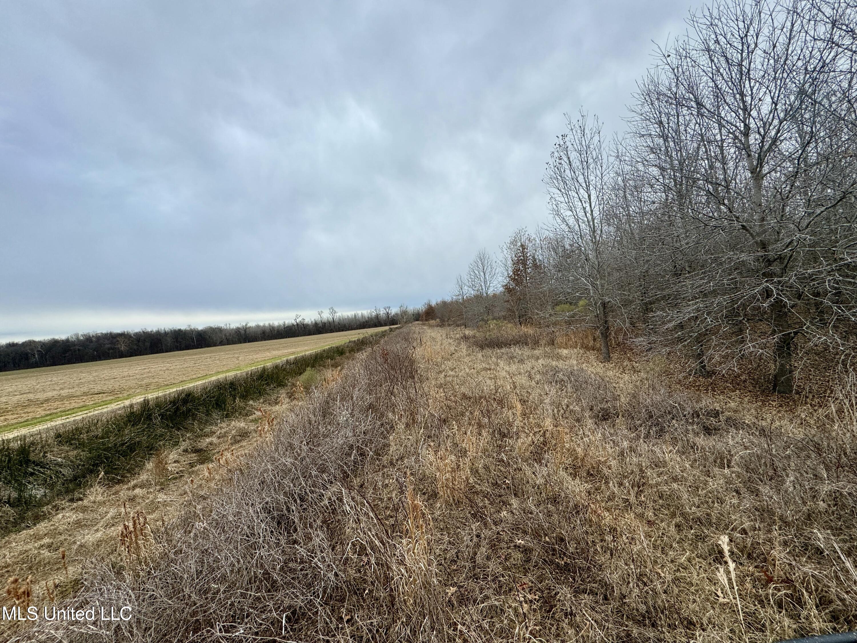 Co Rd 180, Greenwood, Mississippi image 49