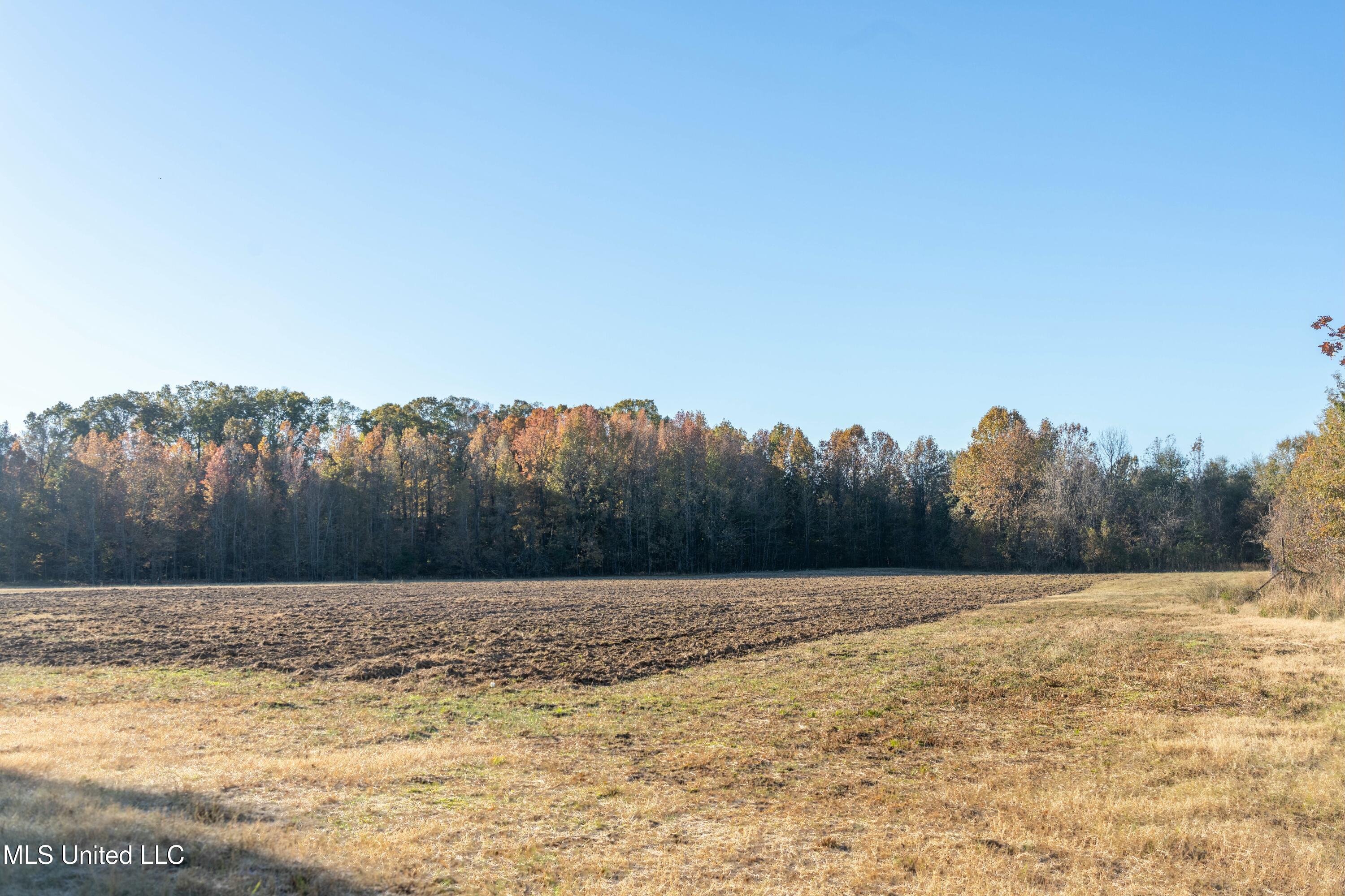 Co Rd 180, Greenwood, Mississippi image 6