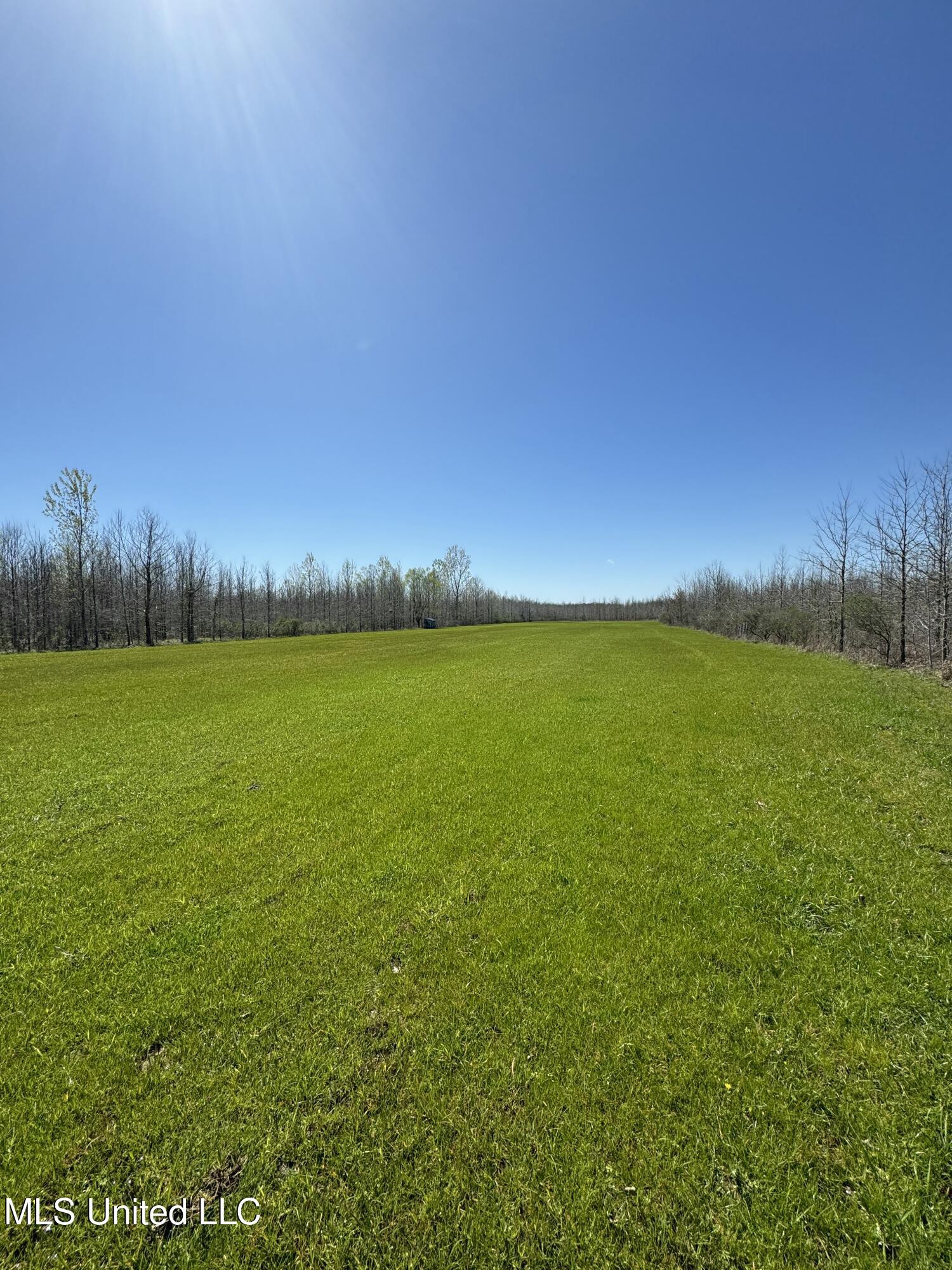 Co Rd 180, Greenwood, Mississippi image 43