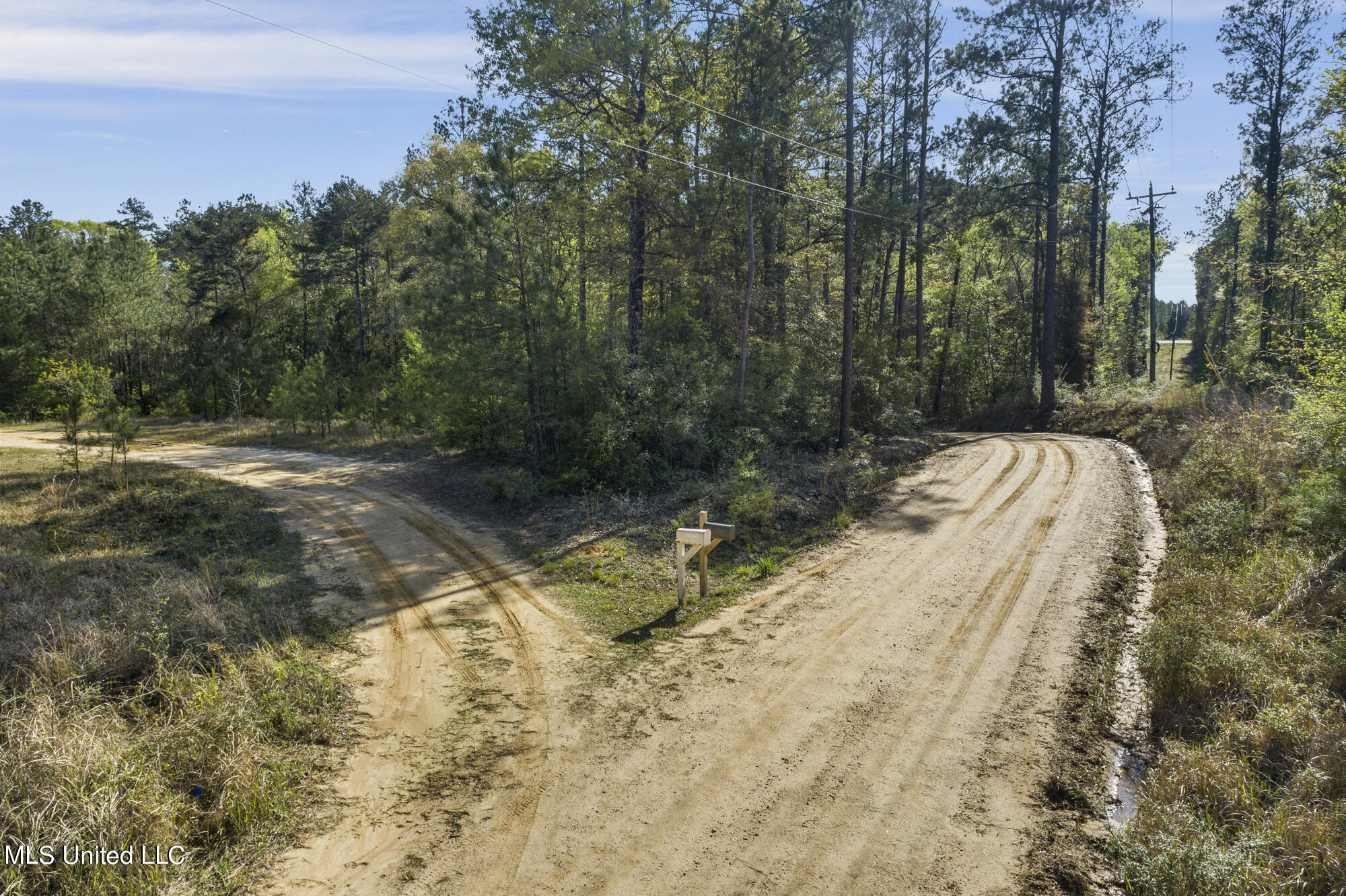 Havard Wilkins Road, Leakesville, Mississippi image 3