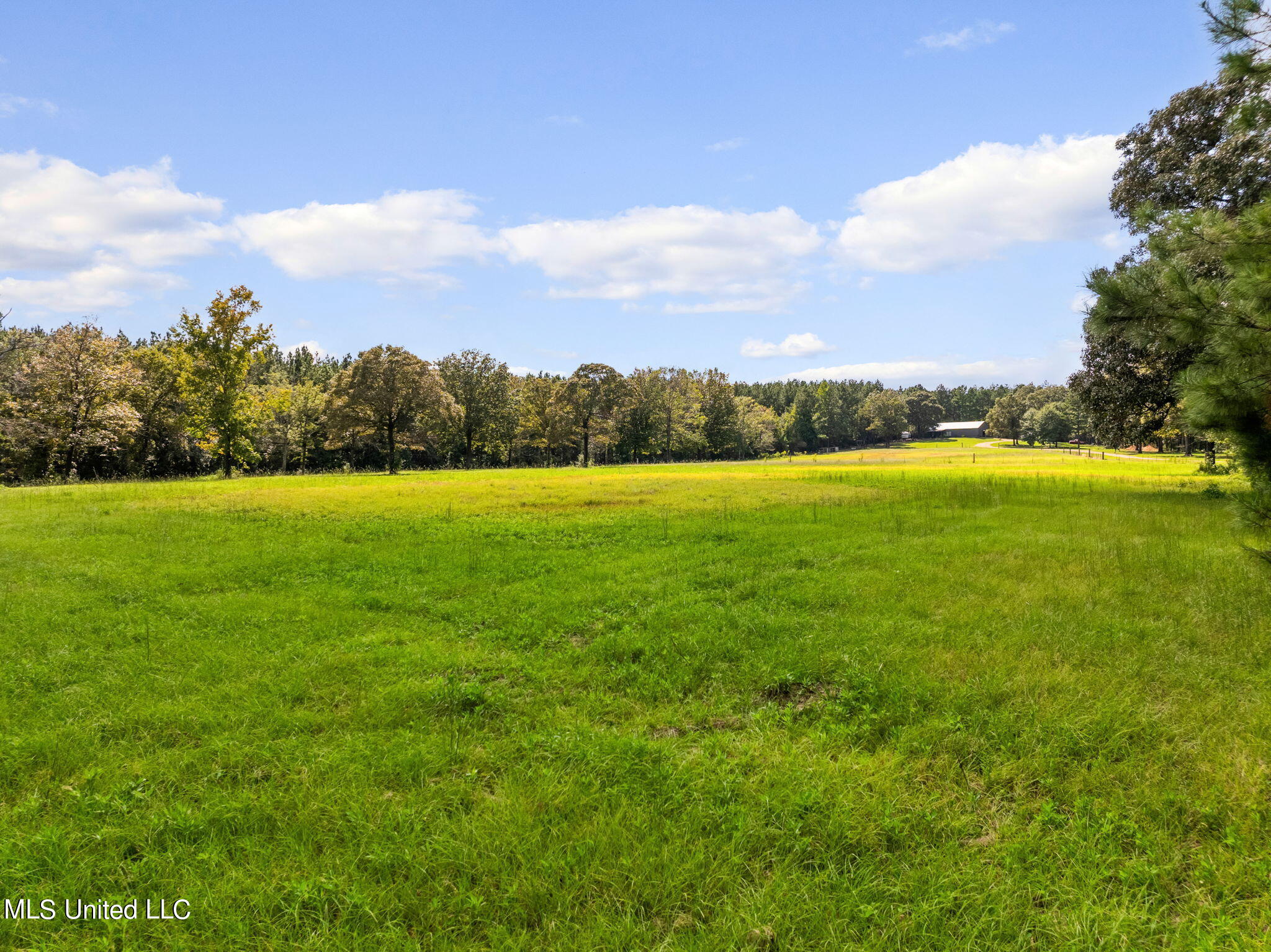 1926 Carnes Road, Brooklyn, Mississippi image 34