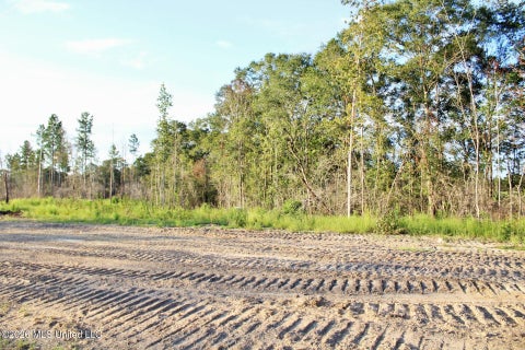 Vacant Land For Sale - LOT 8 Cottonwood Drive<br/> Lucedale, MS 39452