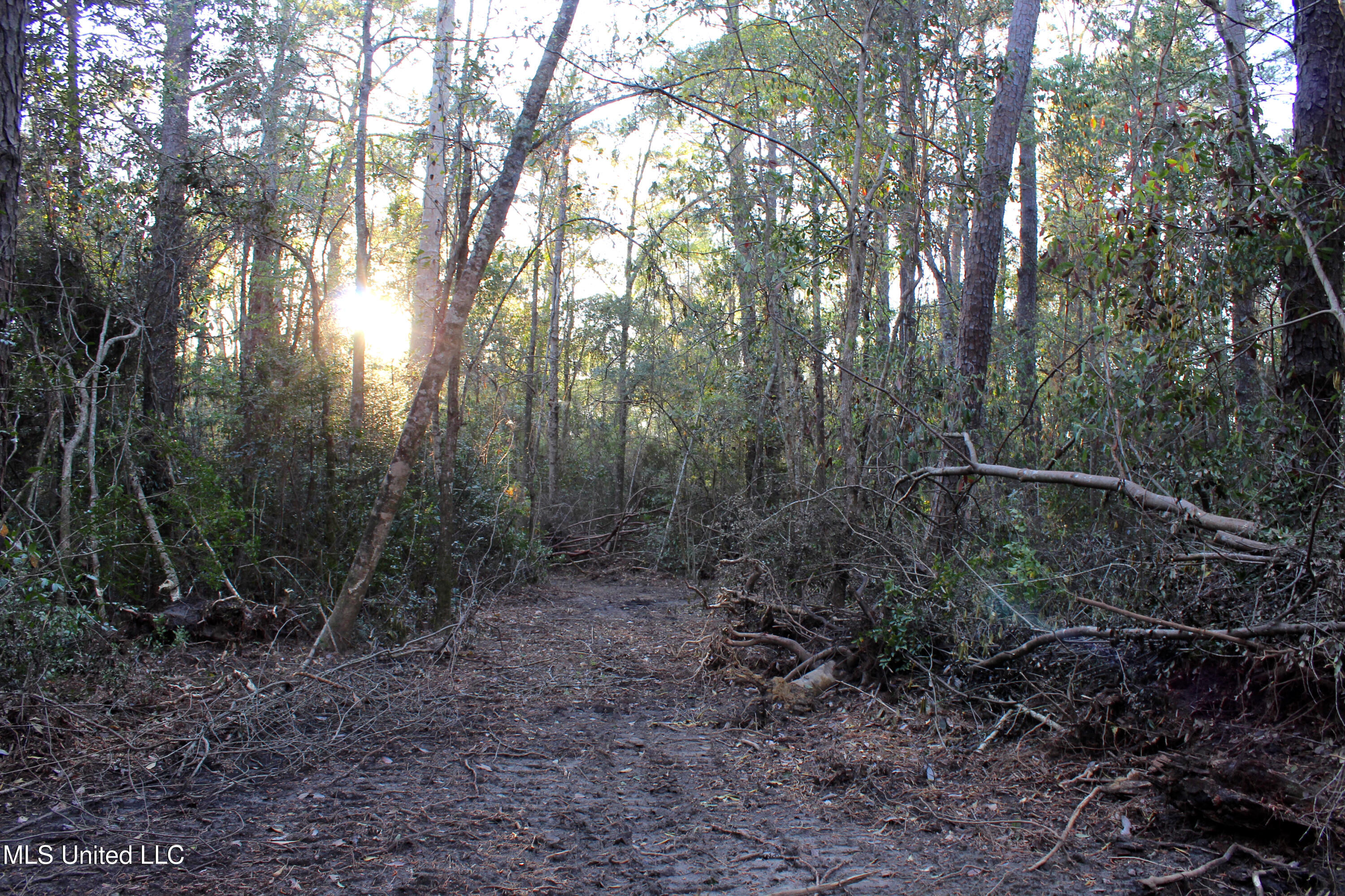 Frank Snell Road, Moss Point, Mississippi image 5