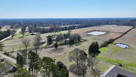 Vacant Land For Sale - 1055 Jenkins Road<br/> Terry, MS 39170