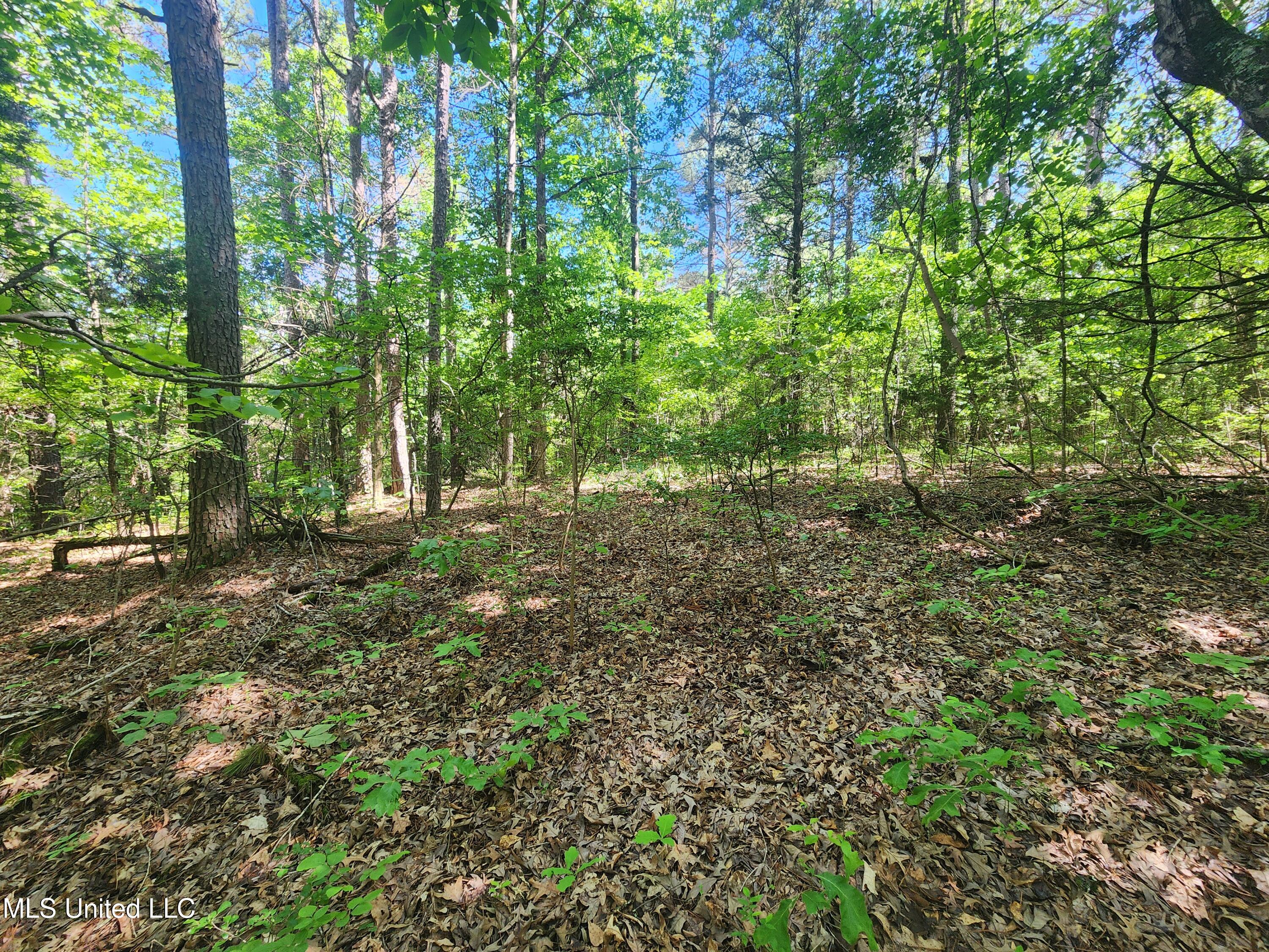 152 Mallard Road, Waterford, Mississippi image 10