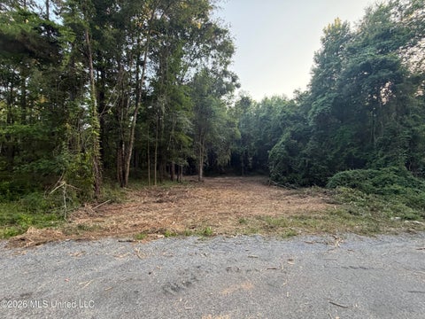 Vacant Land For Sale - NW Toy Drive<br/> Lincoln County, Brookhaven, MS 39601