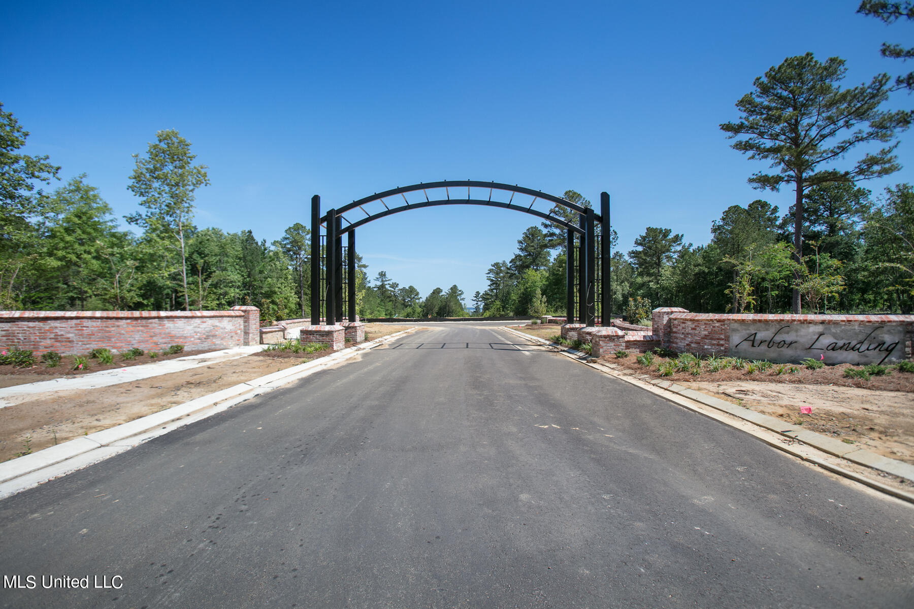 170 Bald Eagle Drive, Brandon, Mississippi image 2