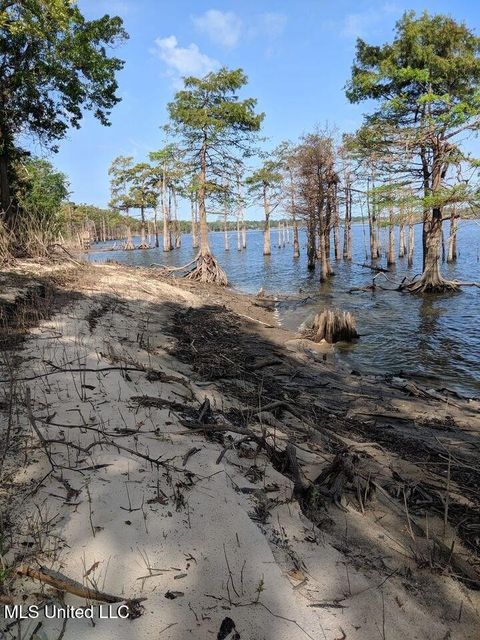 Vacant Land For Sale - Pecan Grove Road<br/> Wilkinson County, Woodville, MS 39669