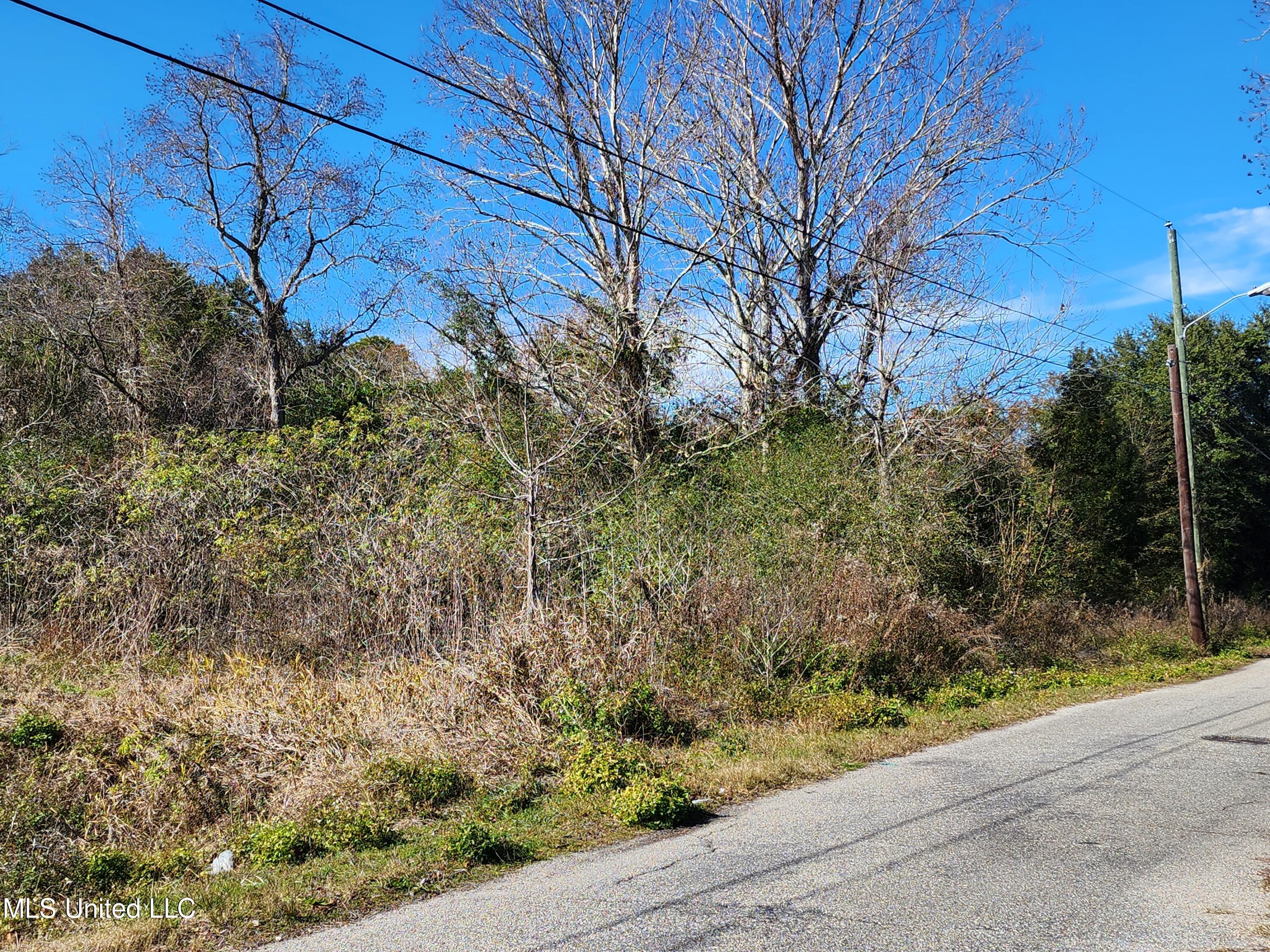 Beach Avenue, Gulfport, Mississippi image 15