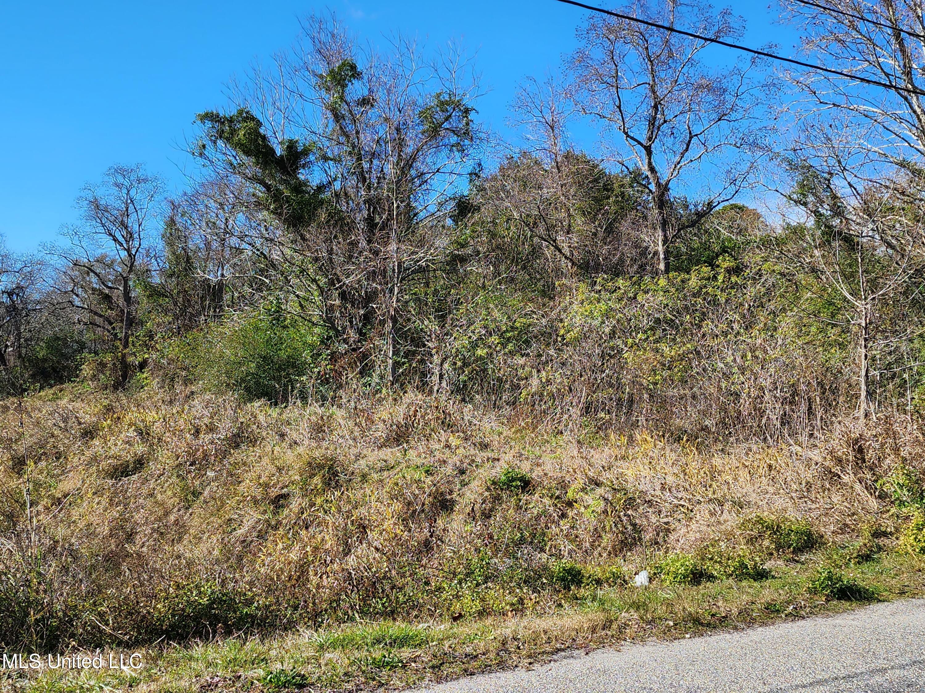 Beach Avenue, Gulfport, Mississippi image 16