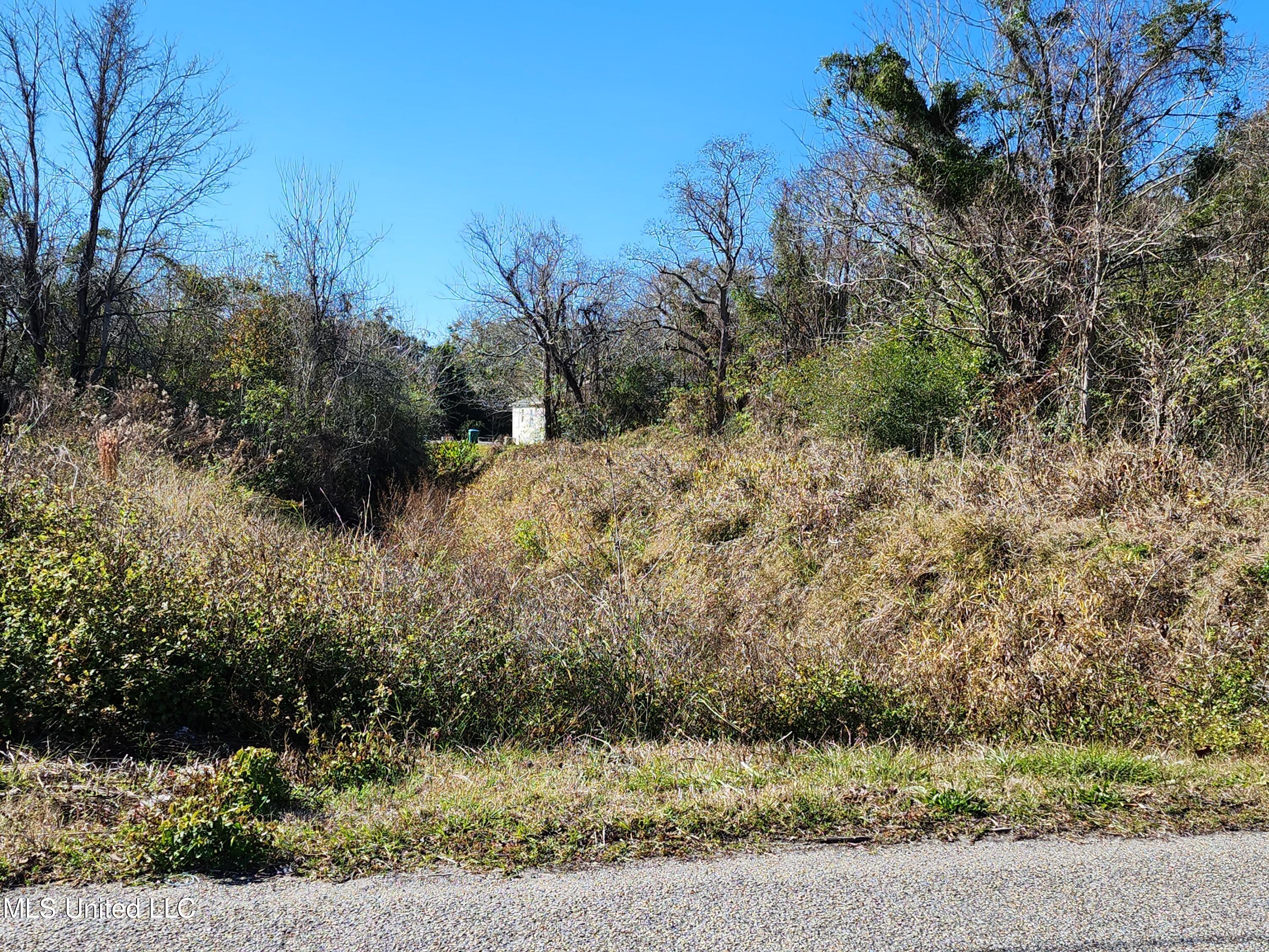 Beach Avenue, Gulfport, Mississippi image 14