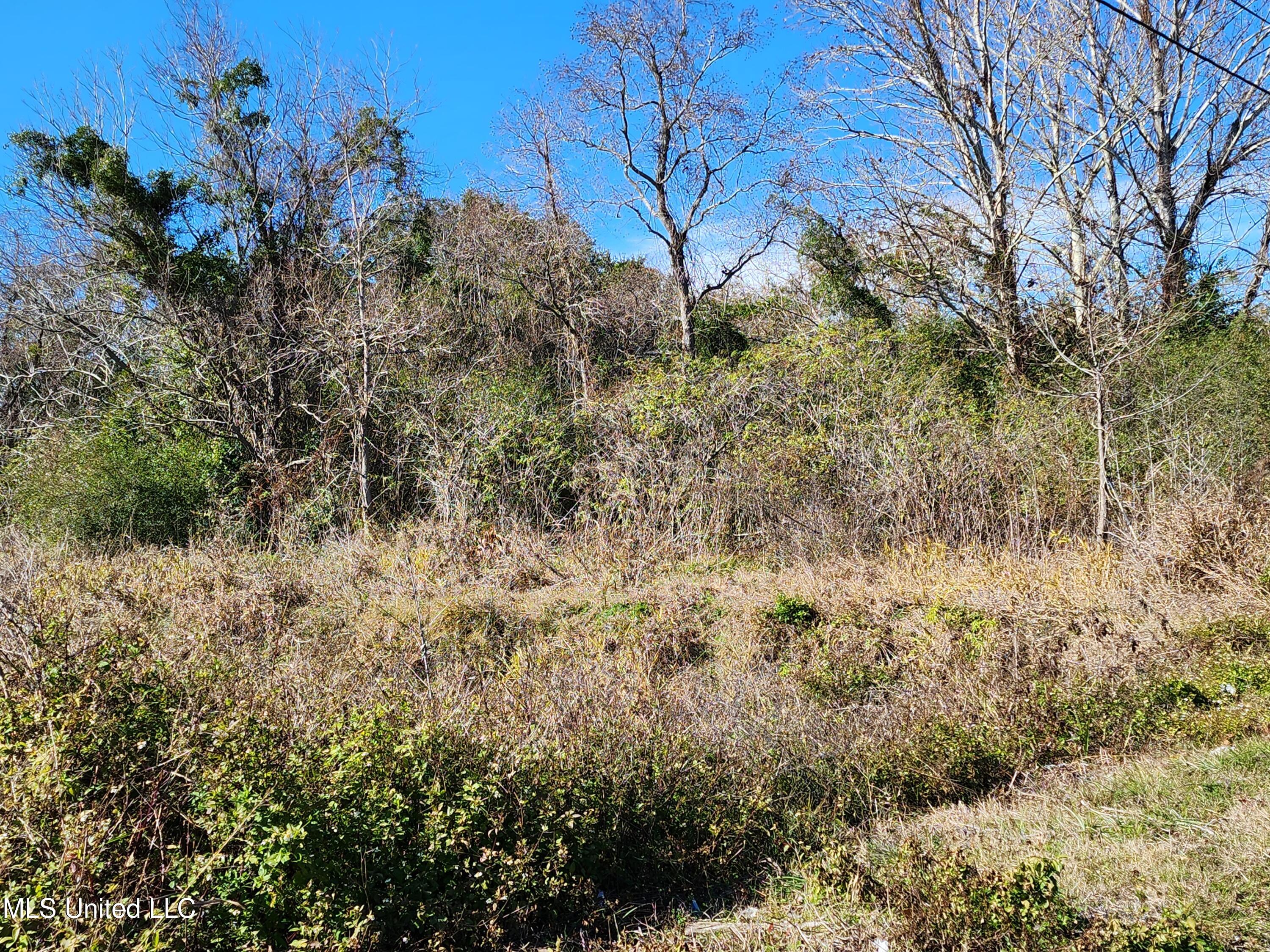 Beach Avenue, Gulfport, Mississippi image 17