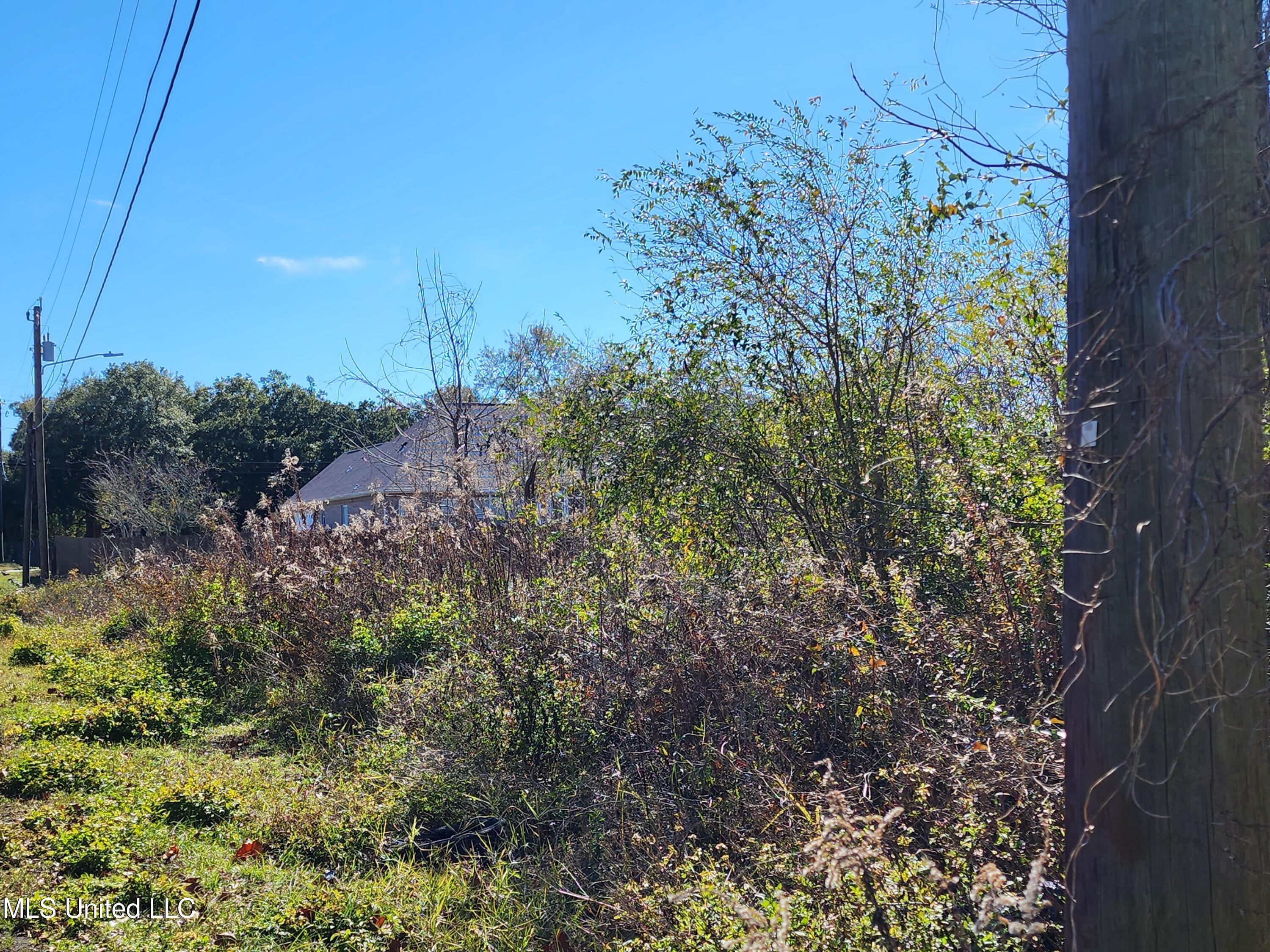 Beach Avenue, Gulfport, Mississippi image 10