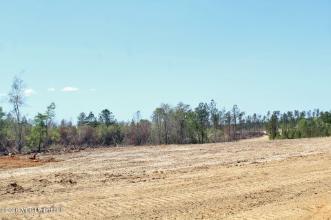 Vacant Land For Sale - 6.01AC Little Cedar Road<br/> Lucedale, MS 39452