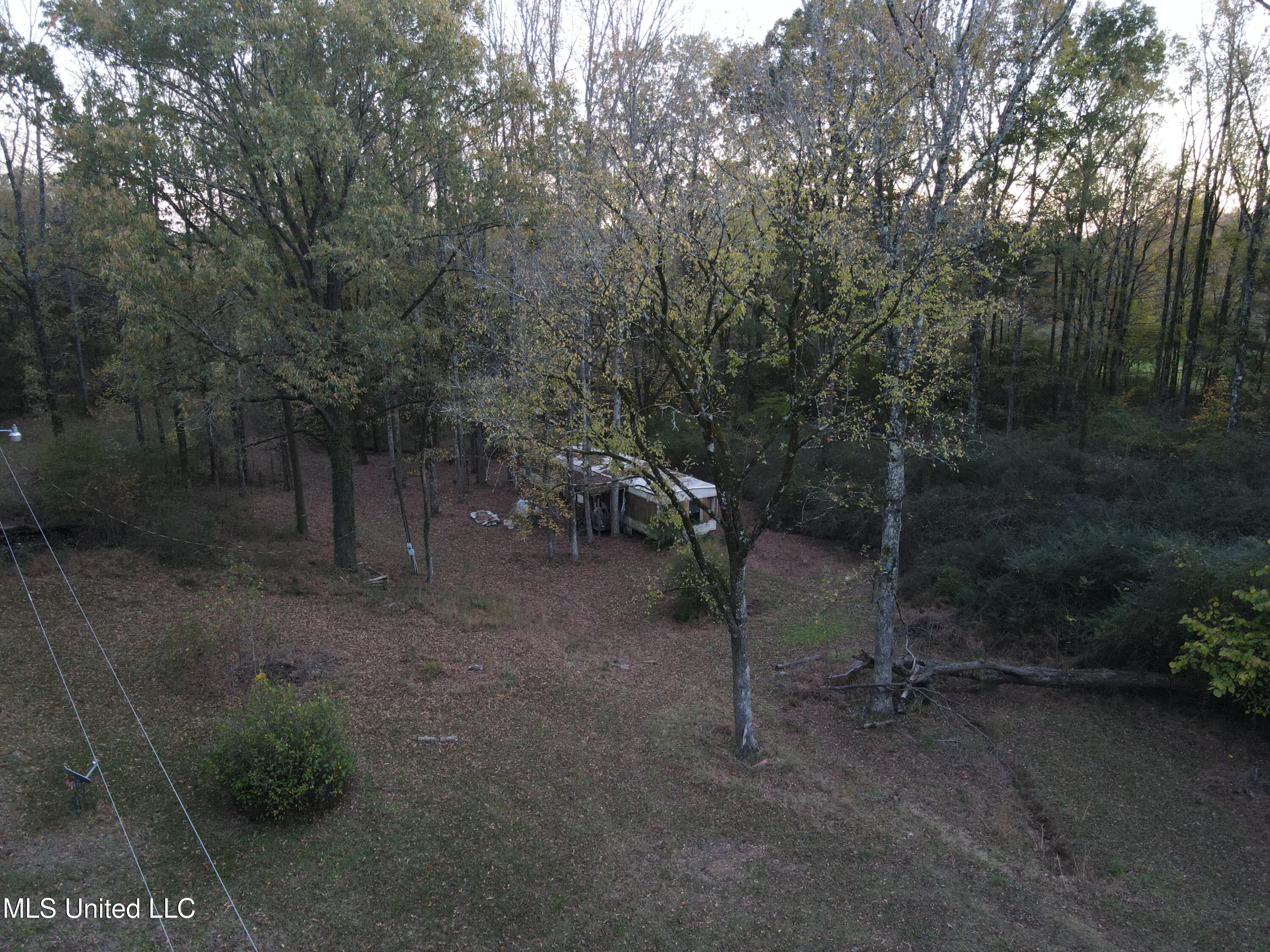 6830 Mccracken Road, Hernando, Mississippi image 7