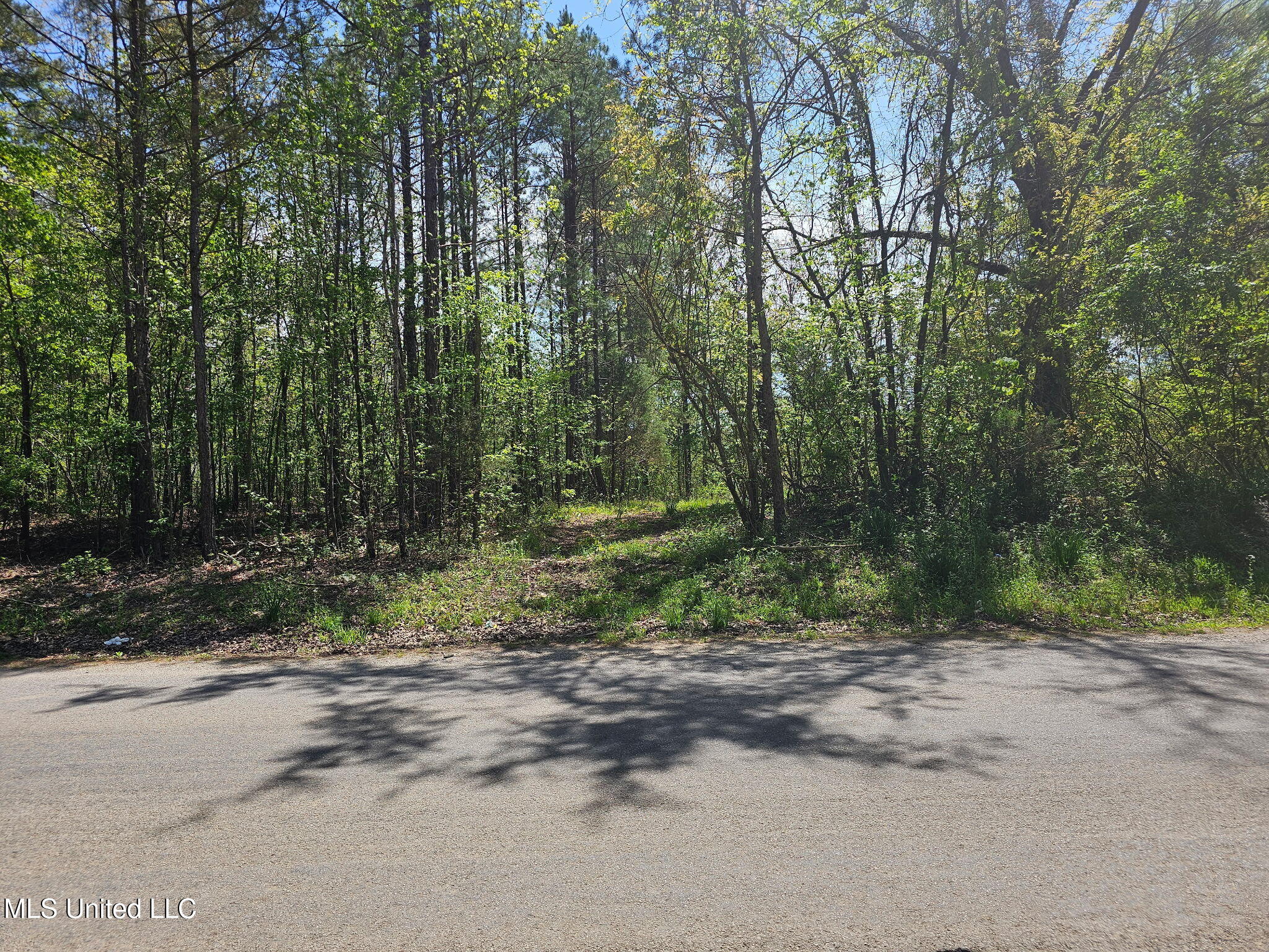 600 County Rd. 431, Ripley, Mississippi image 1