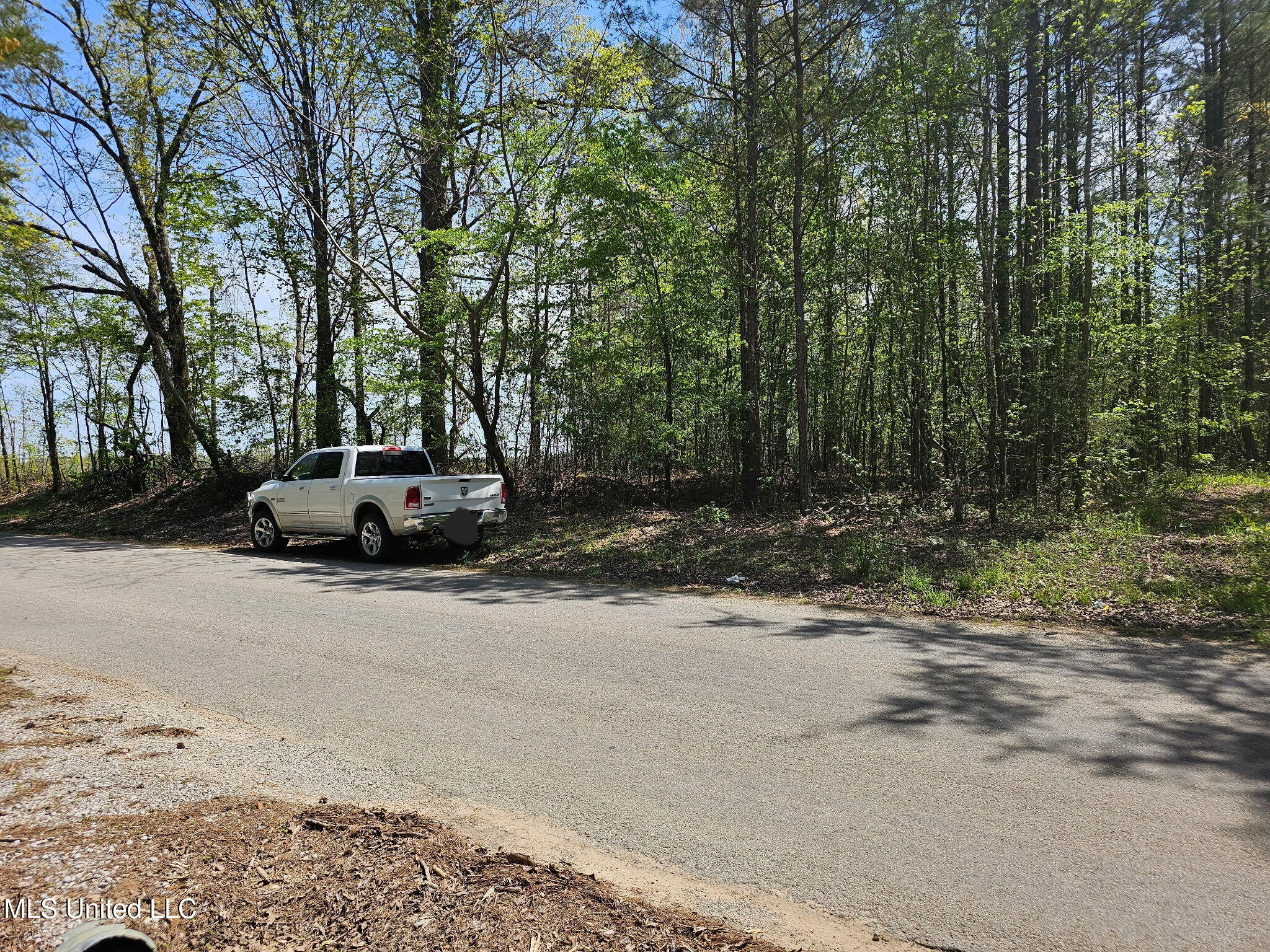600 County Rd. 431, Ripley, Mississippi image 5