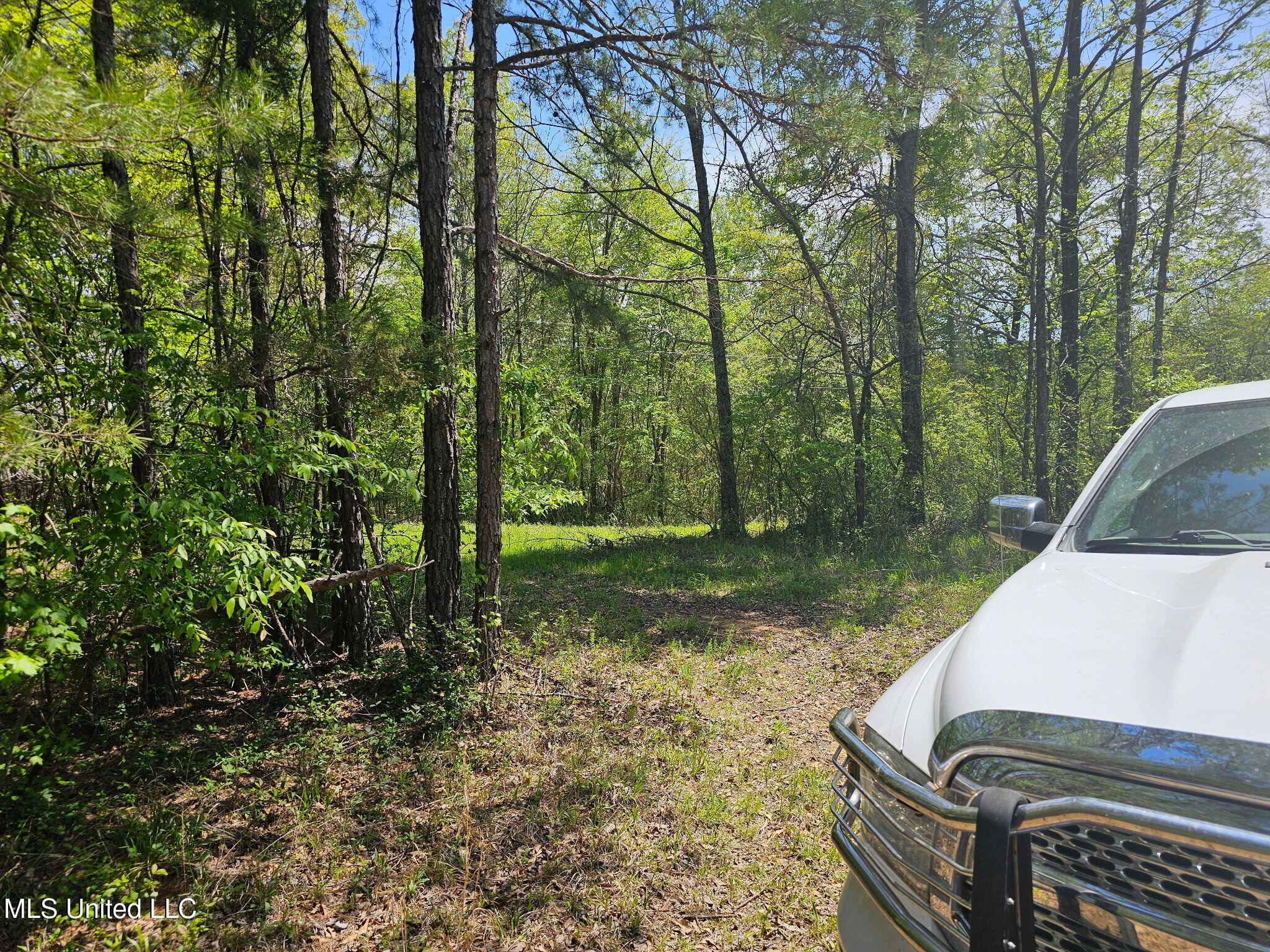 600 County Rd. 431, Ripley, Mississippi image 7